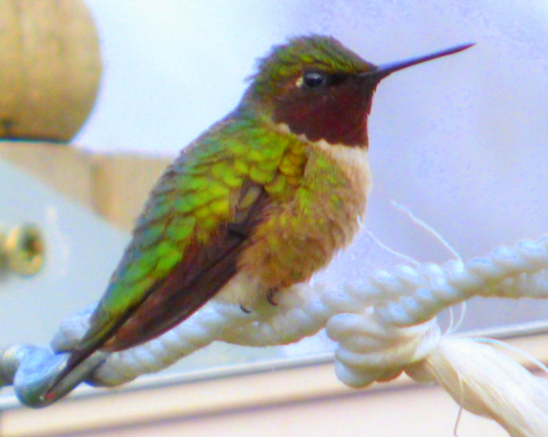 Featured Image
