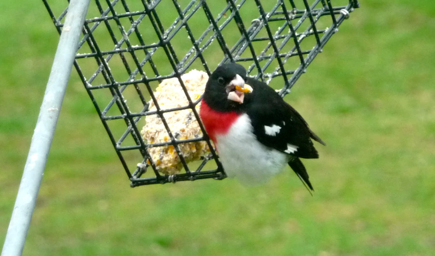 Featured Image