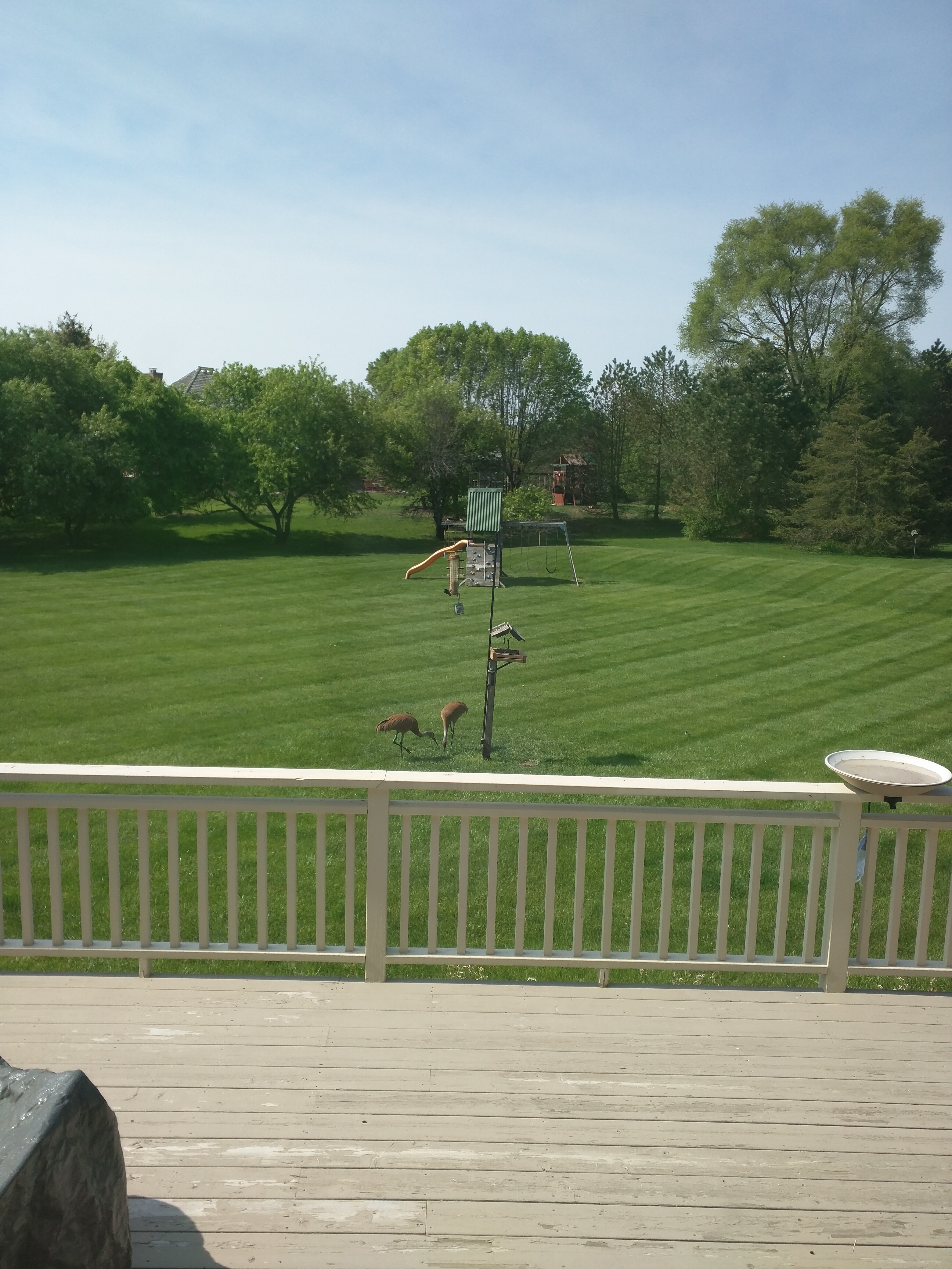 Additional Image 2
