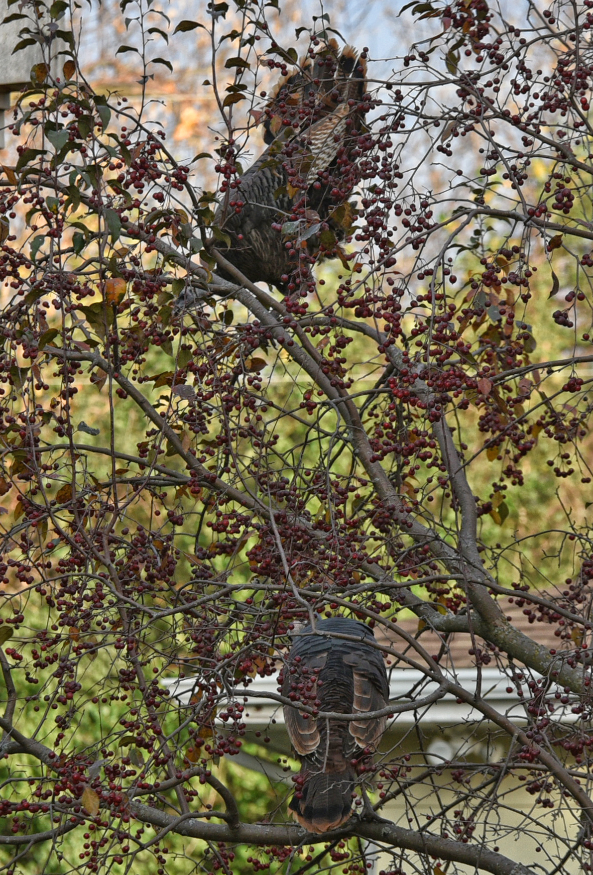 Additional Image 3