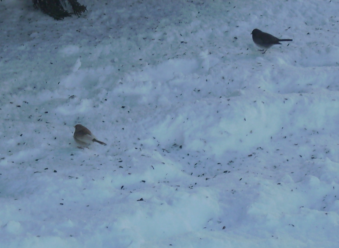Additional Image 2