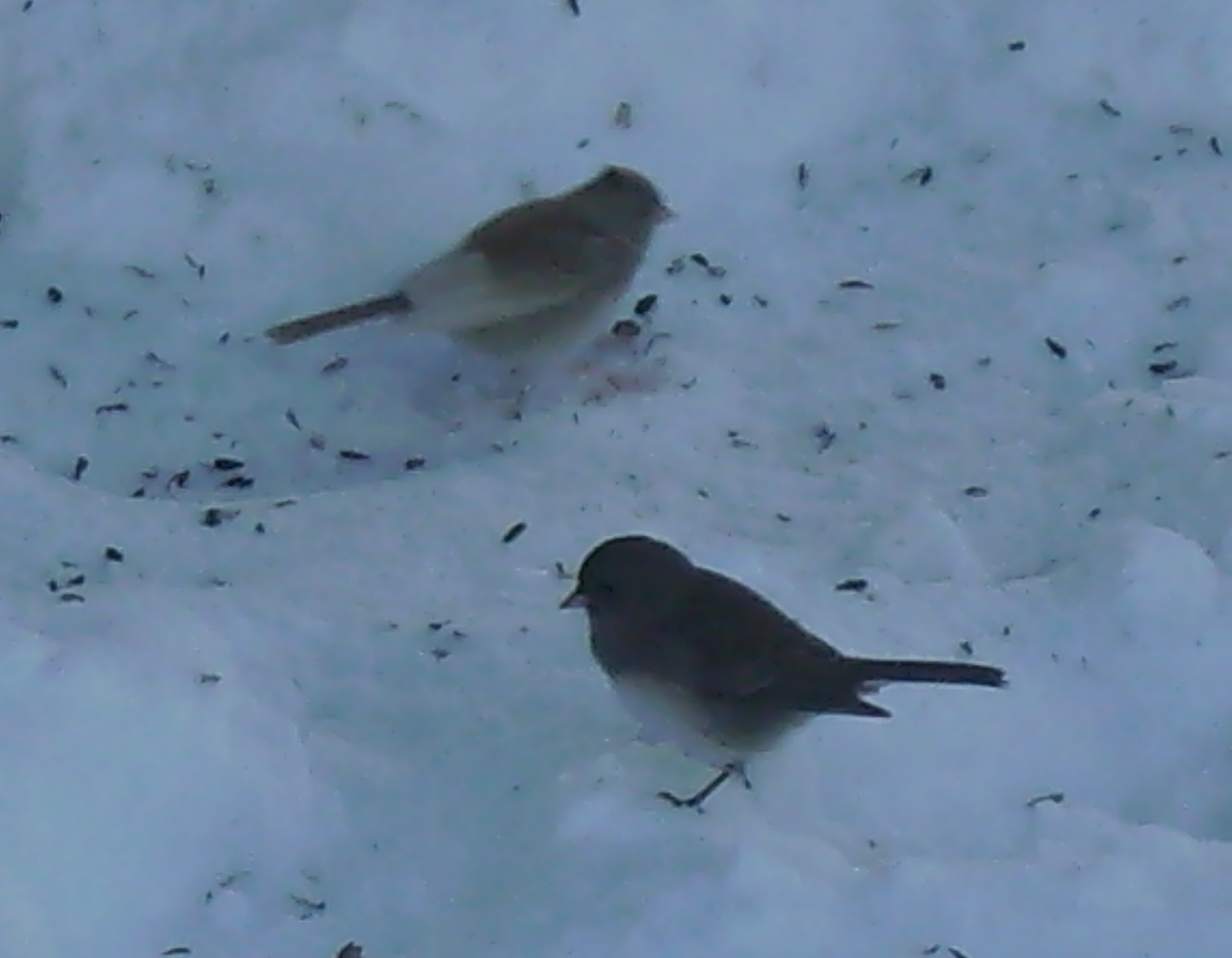 Additional Image 3