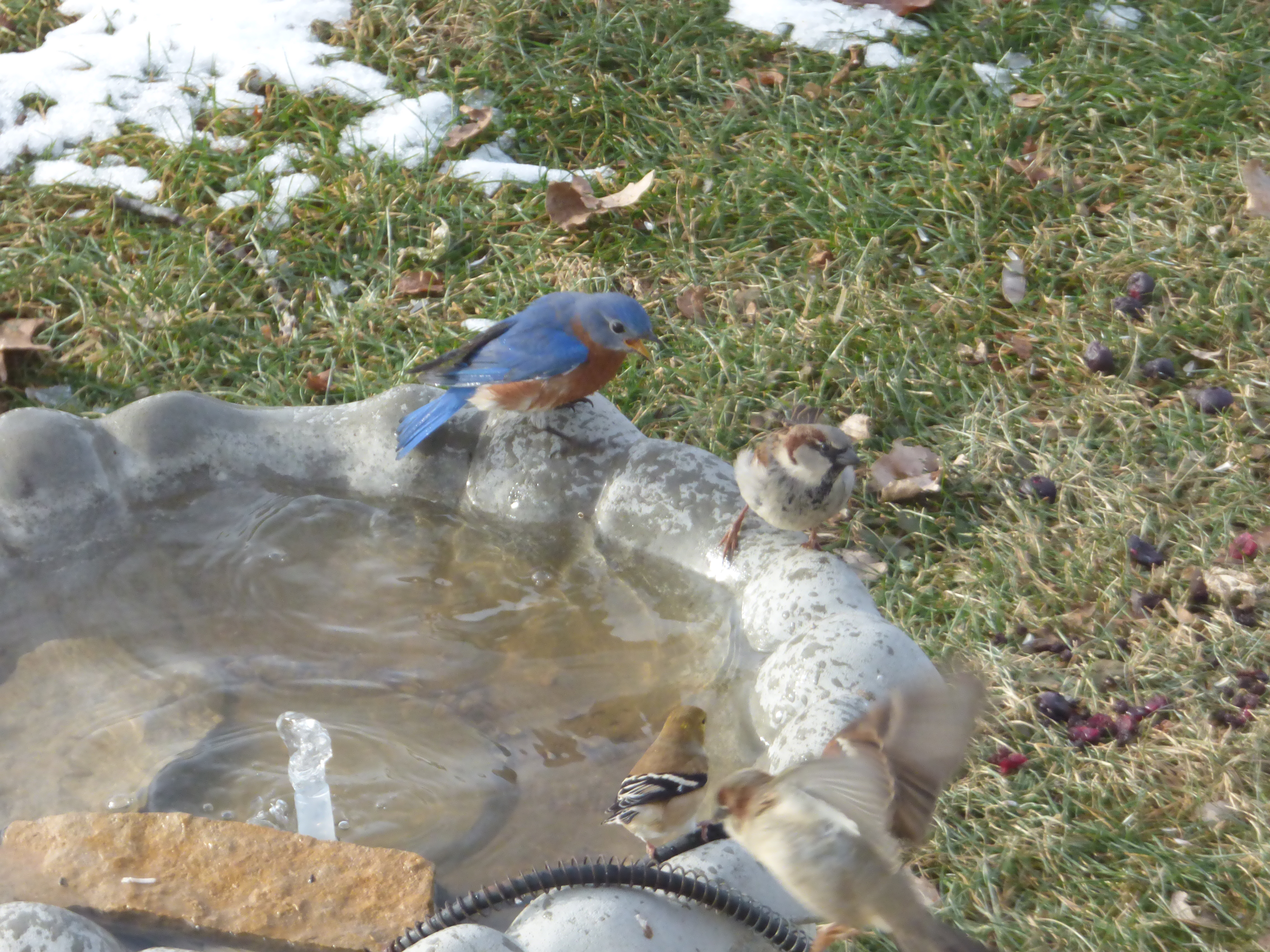 Additional Image 3