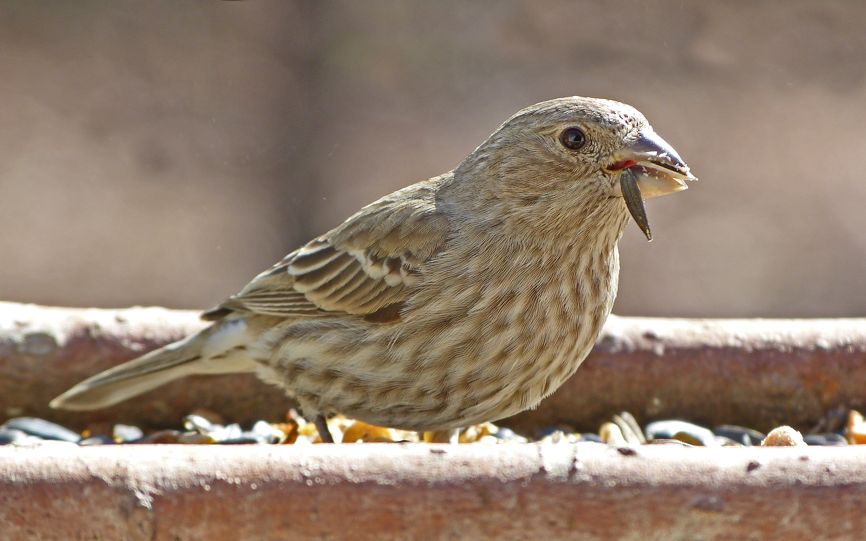 Featured Image