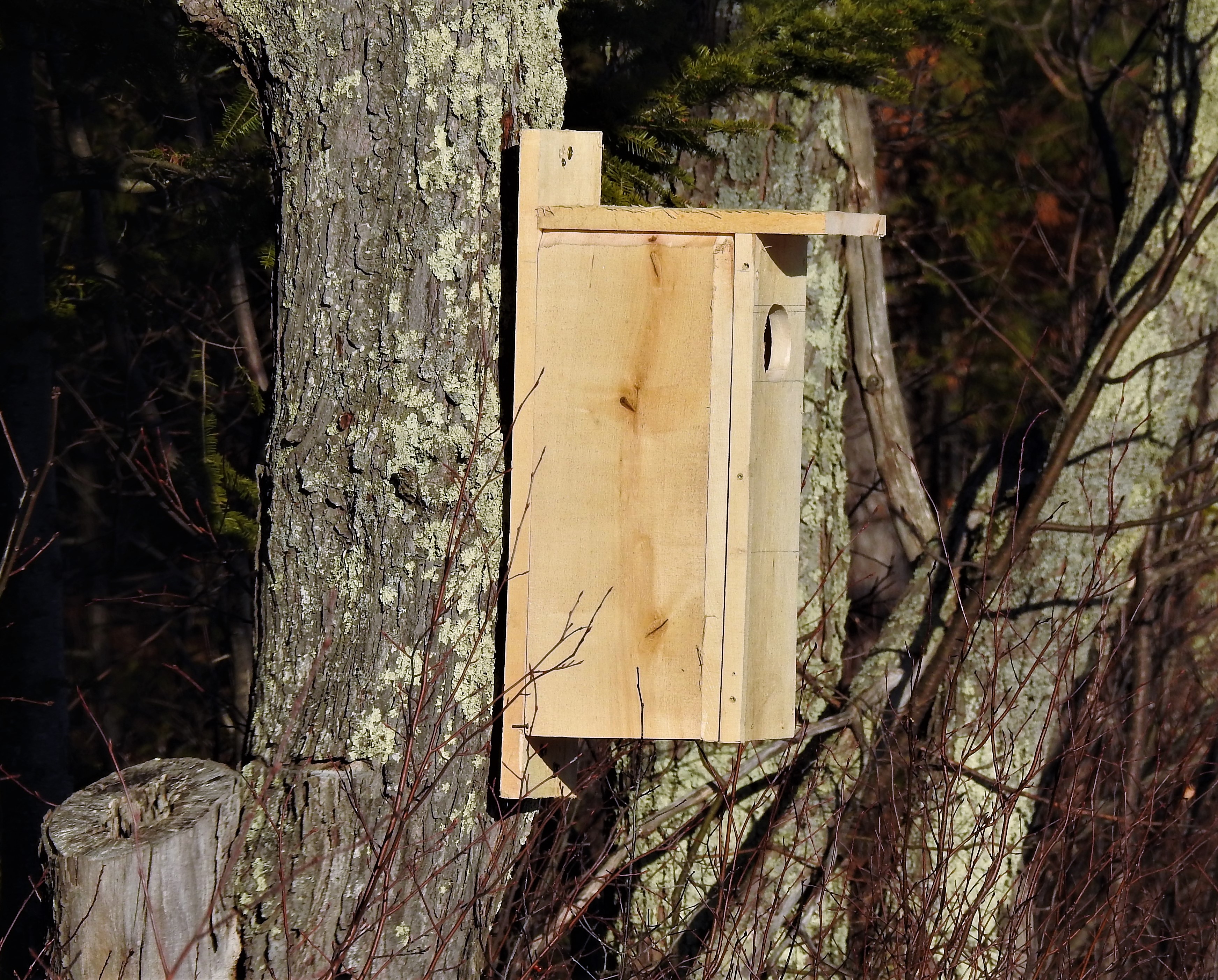 Additional Image 2