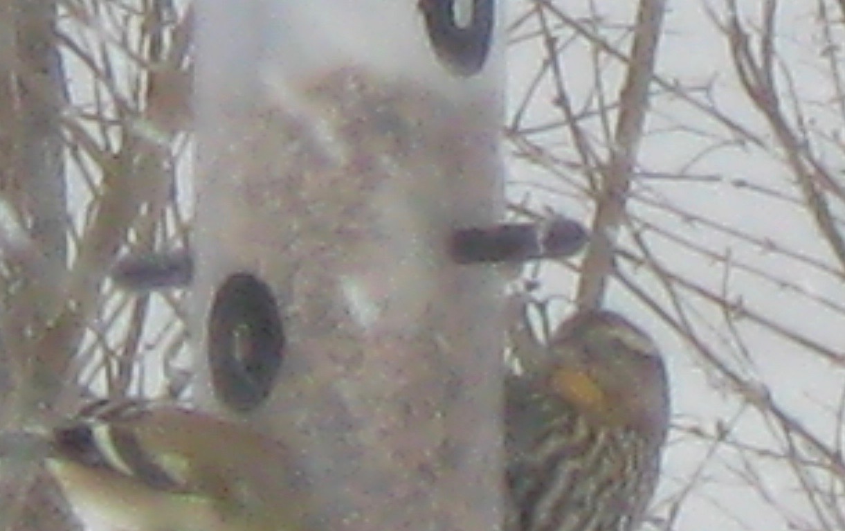 Additional Image 2