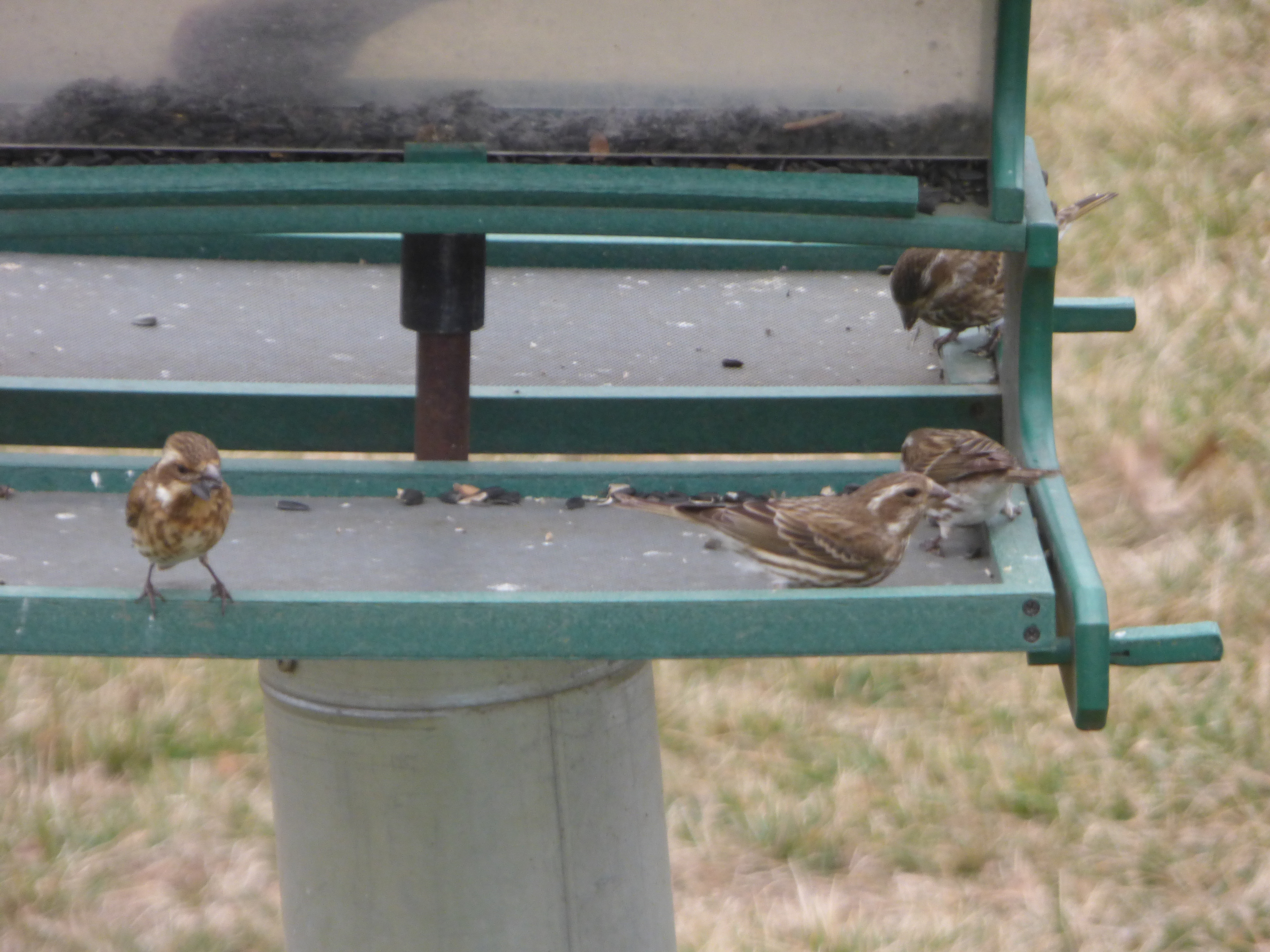Additional Image 2