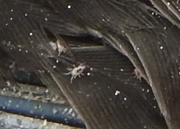 Additional Image 3