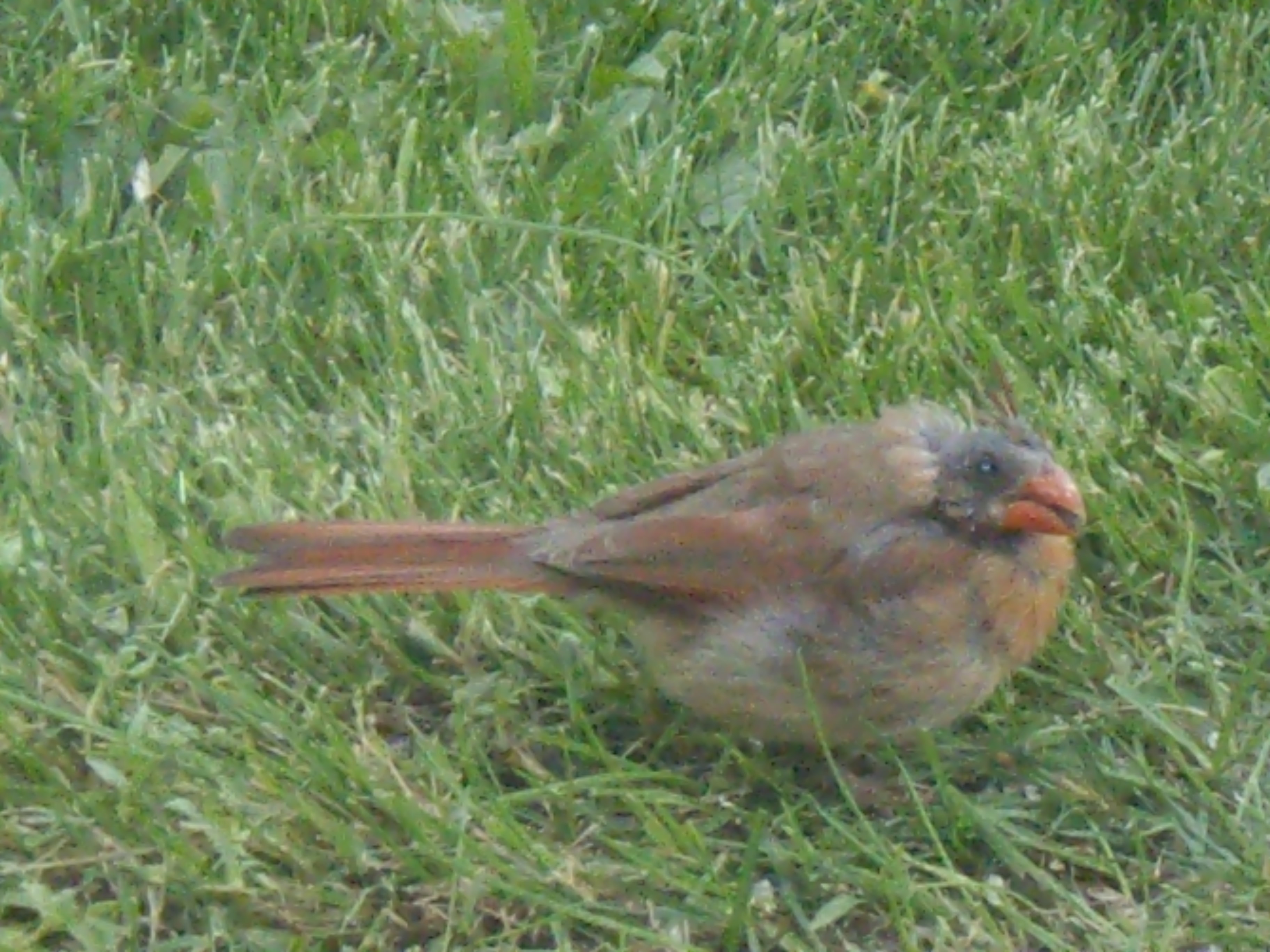 Additional Image 2
