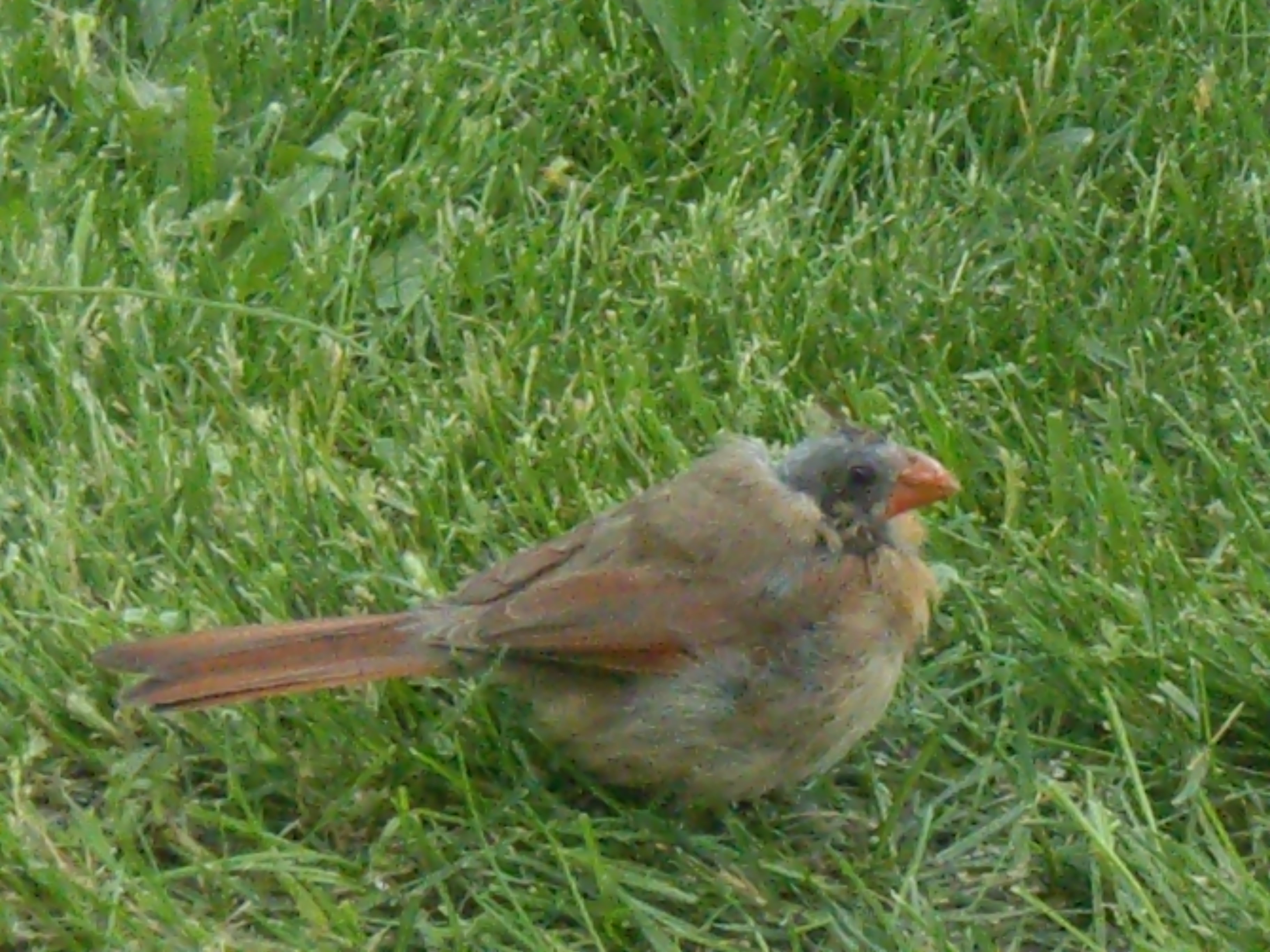 Additional Image 3