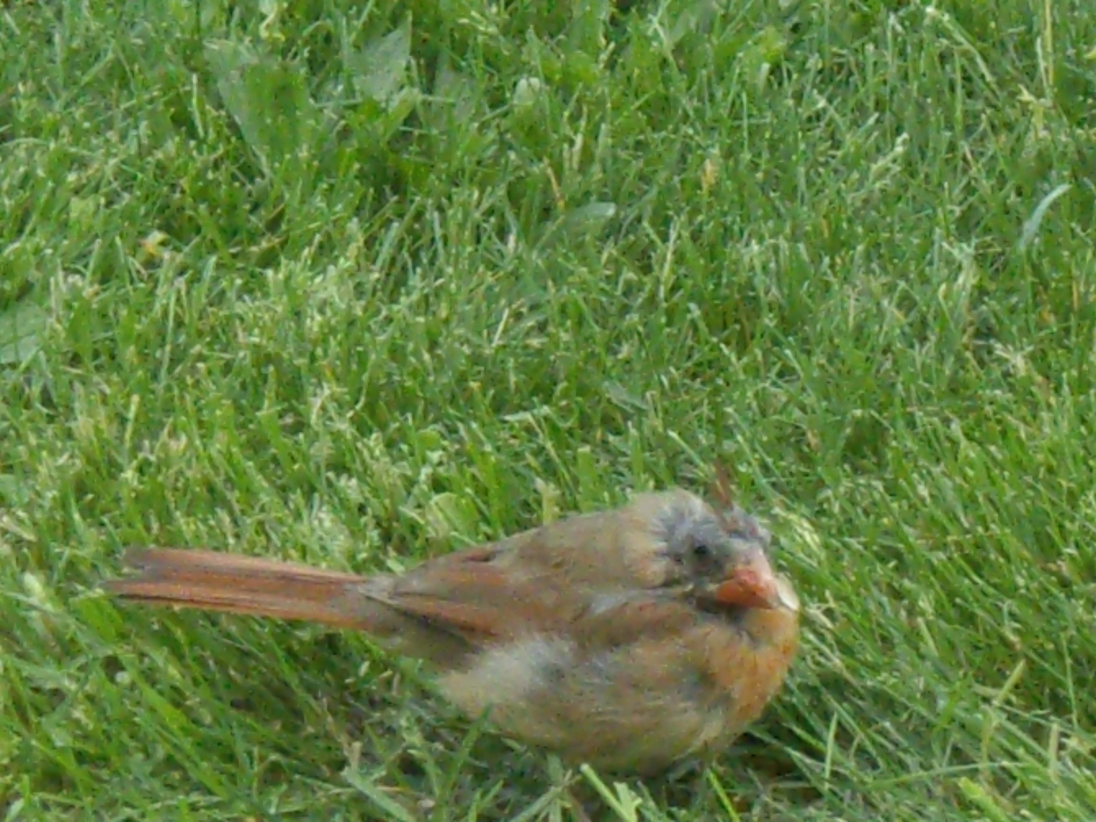 Additional Image 4