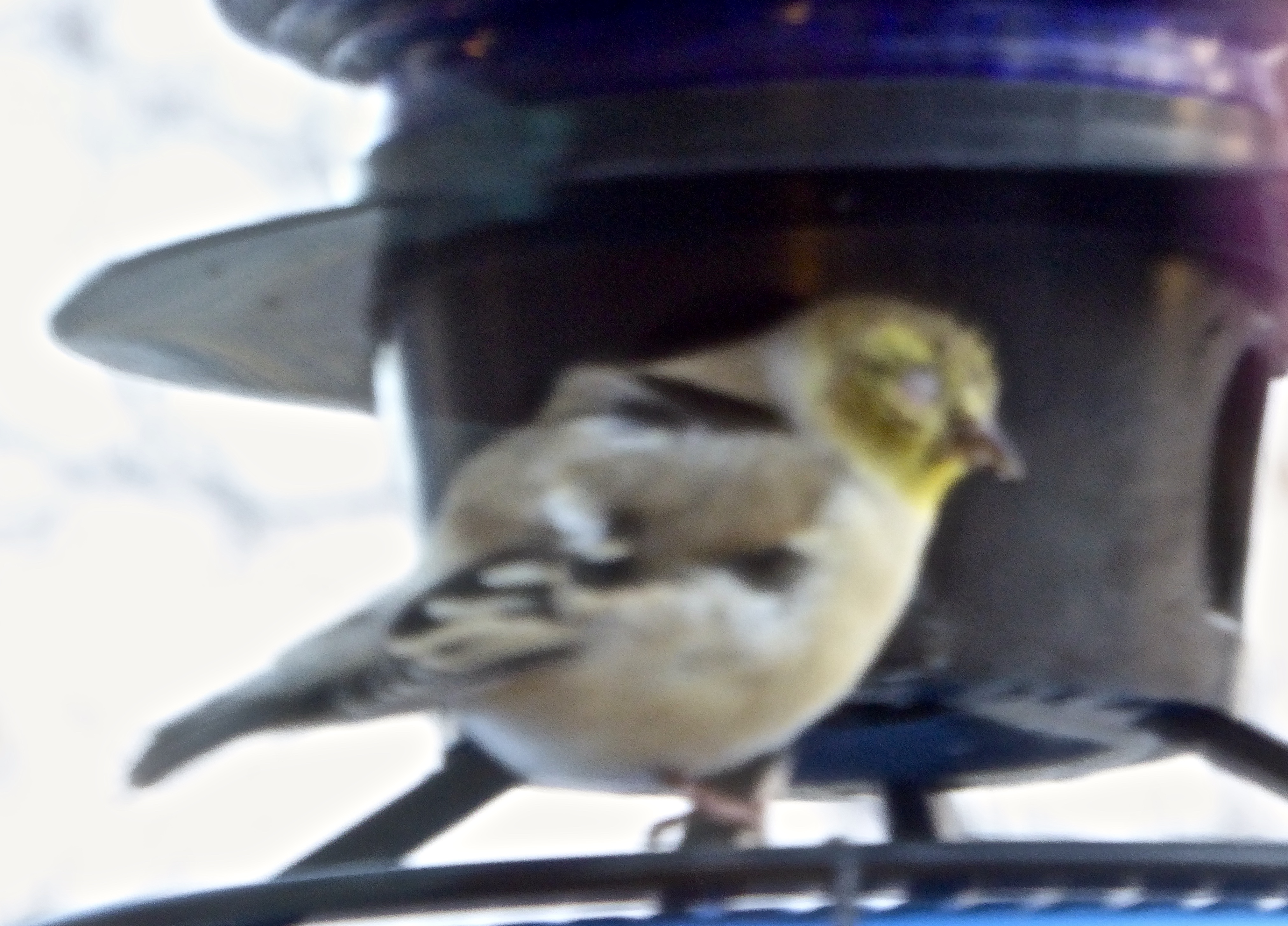 Additional Image 2
