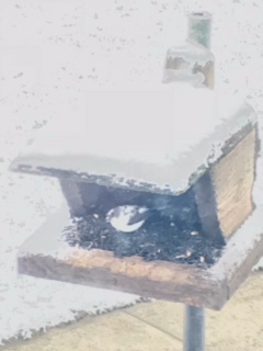Additional Image 2
