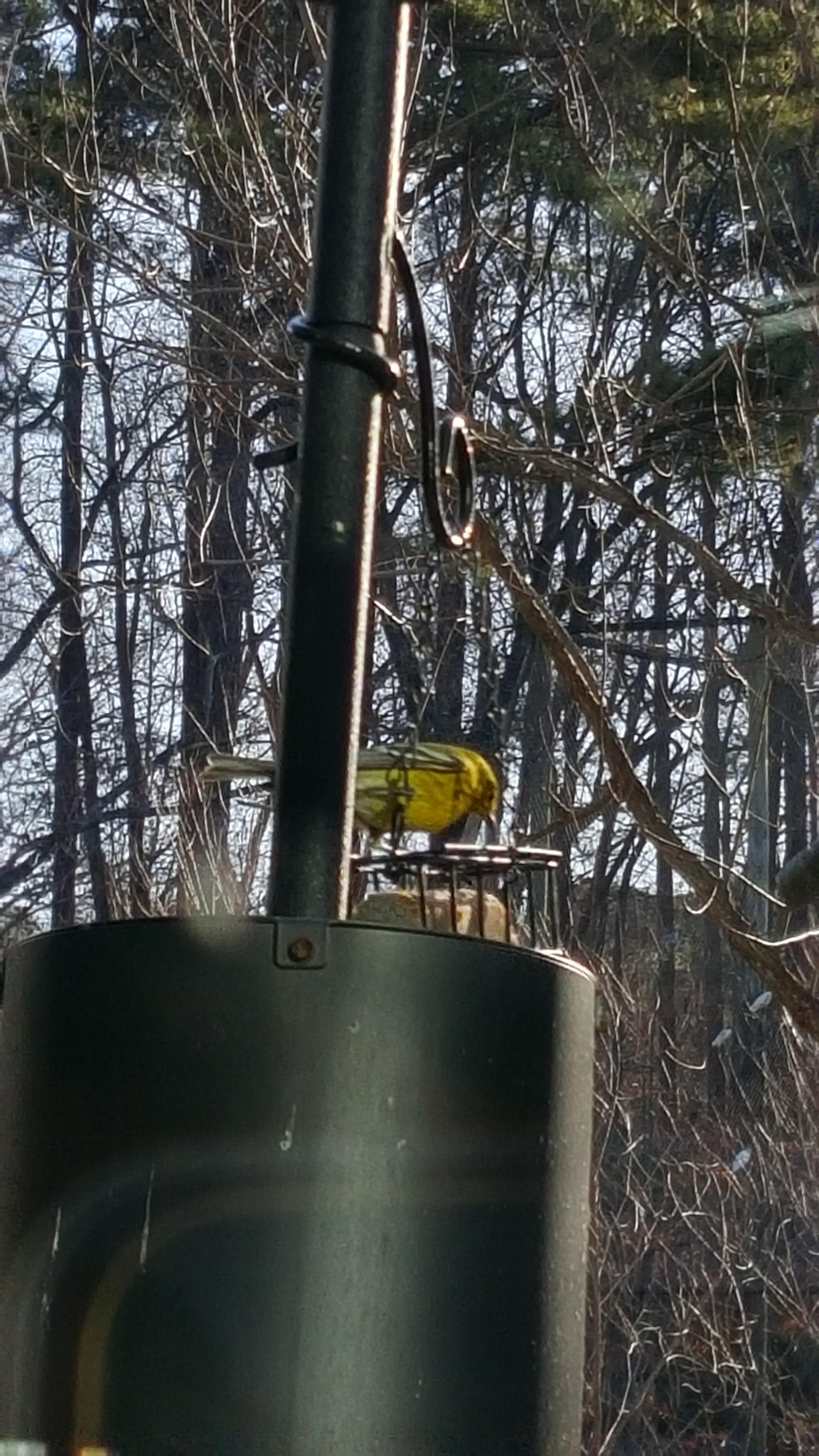 Additional Image 3
