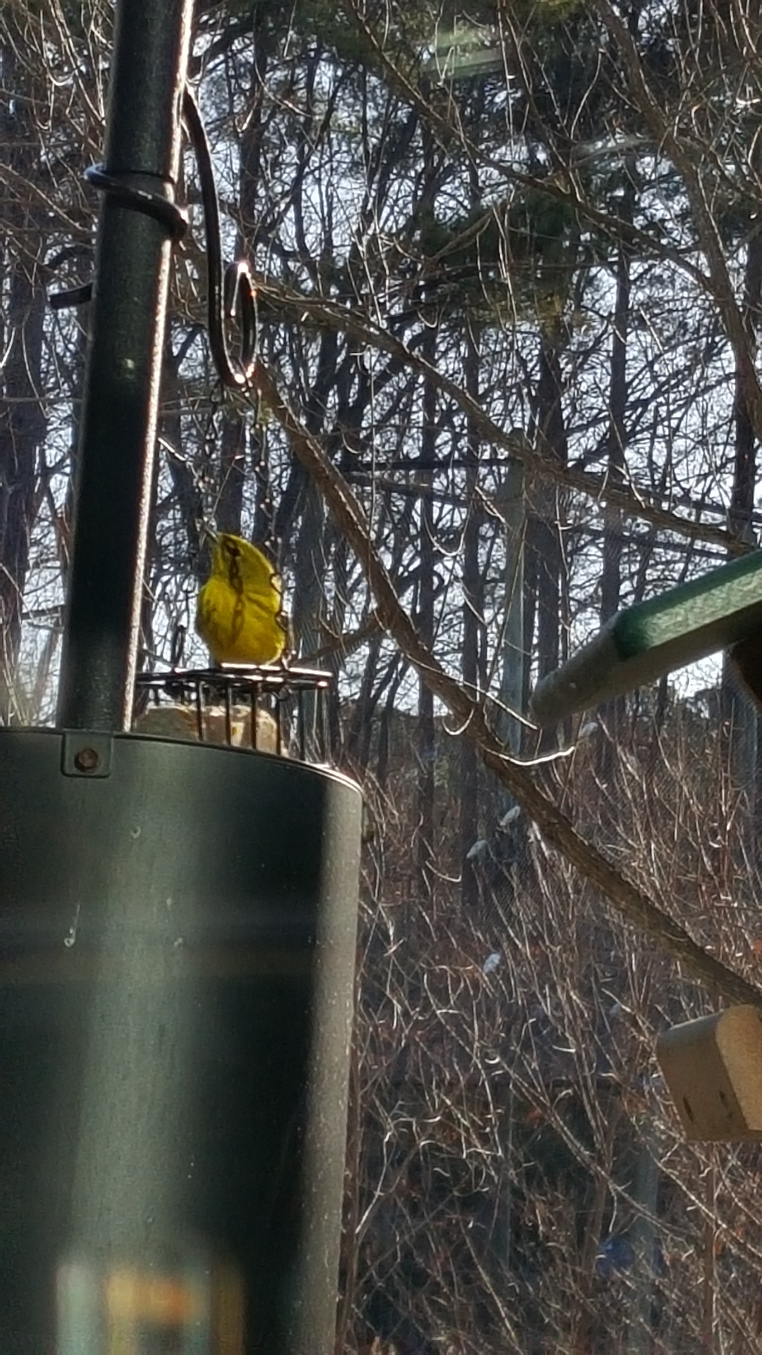 Additional Image 4