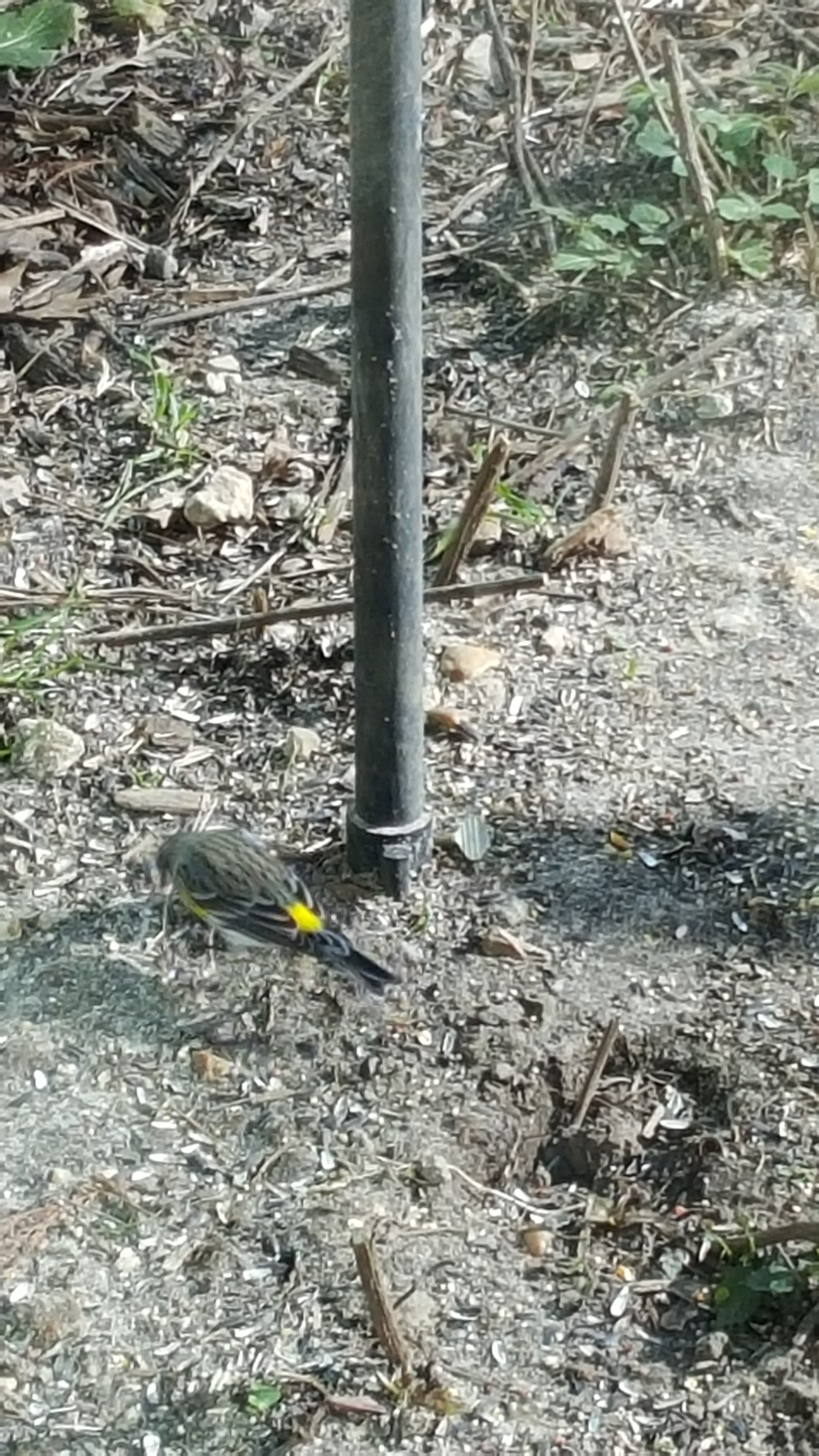 Additional Image 5