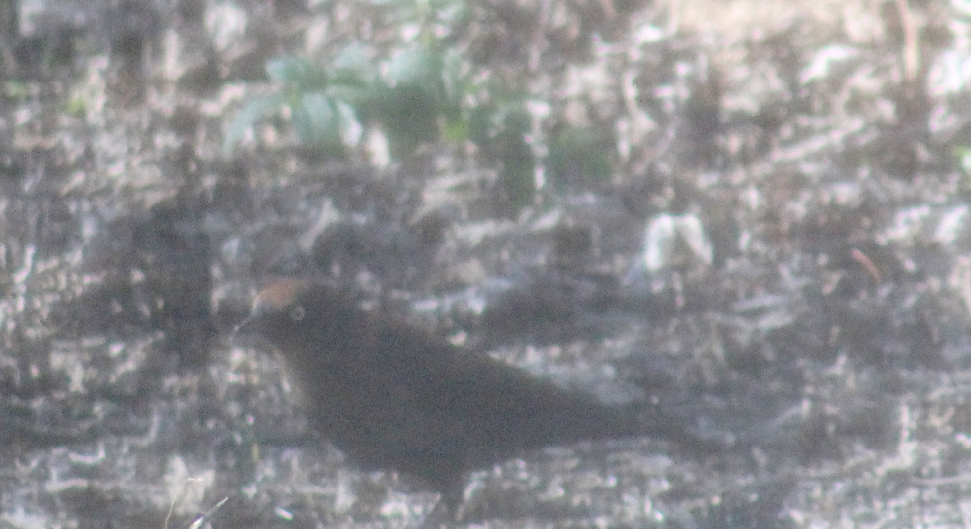 Additional Image 5