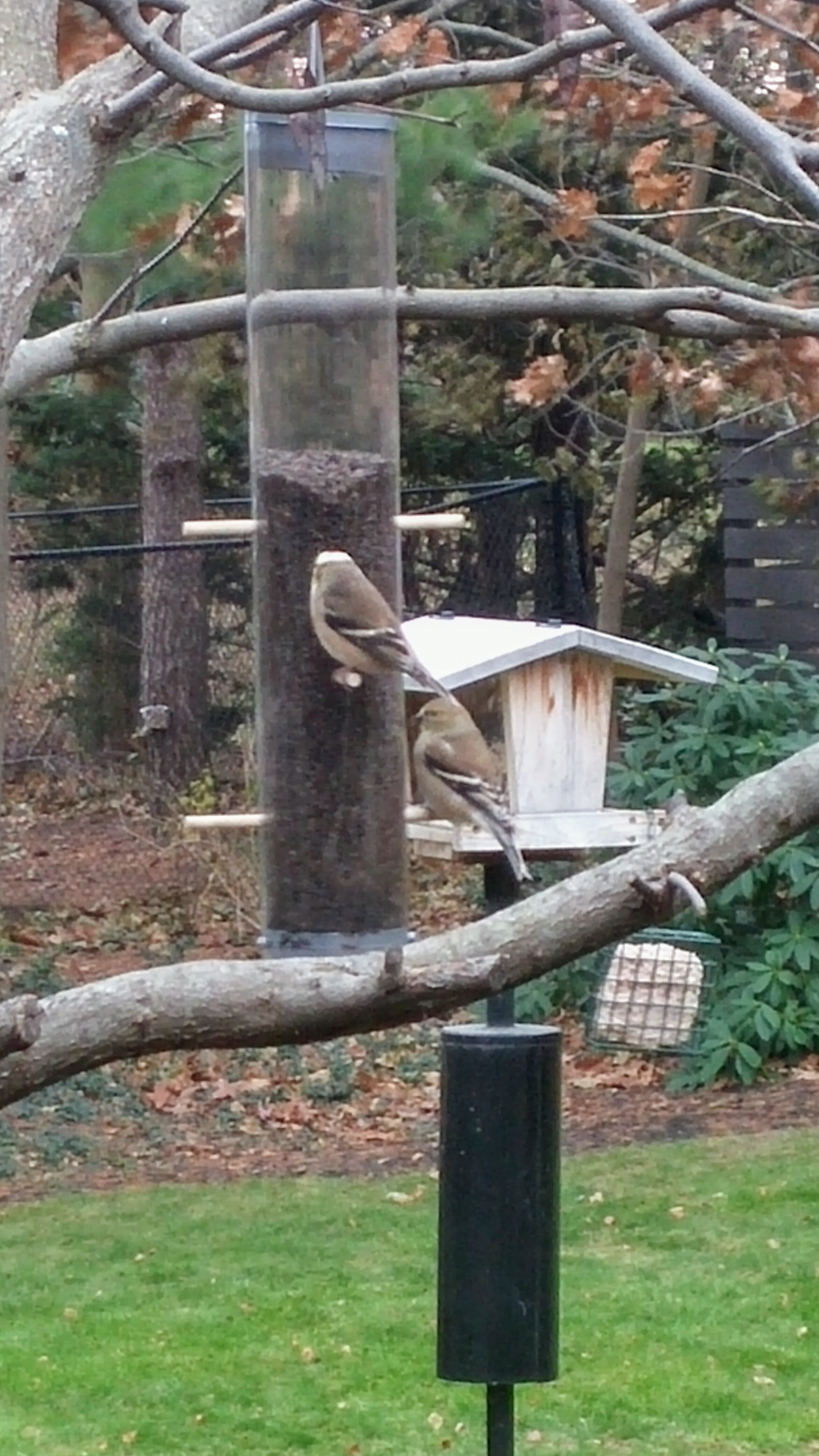 Additional Image 2