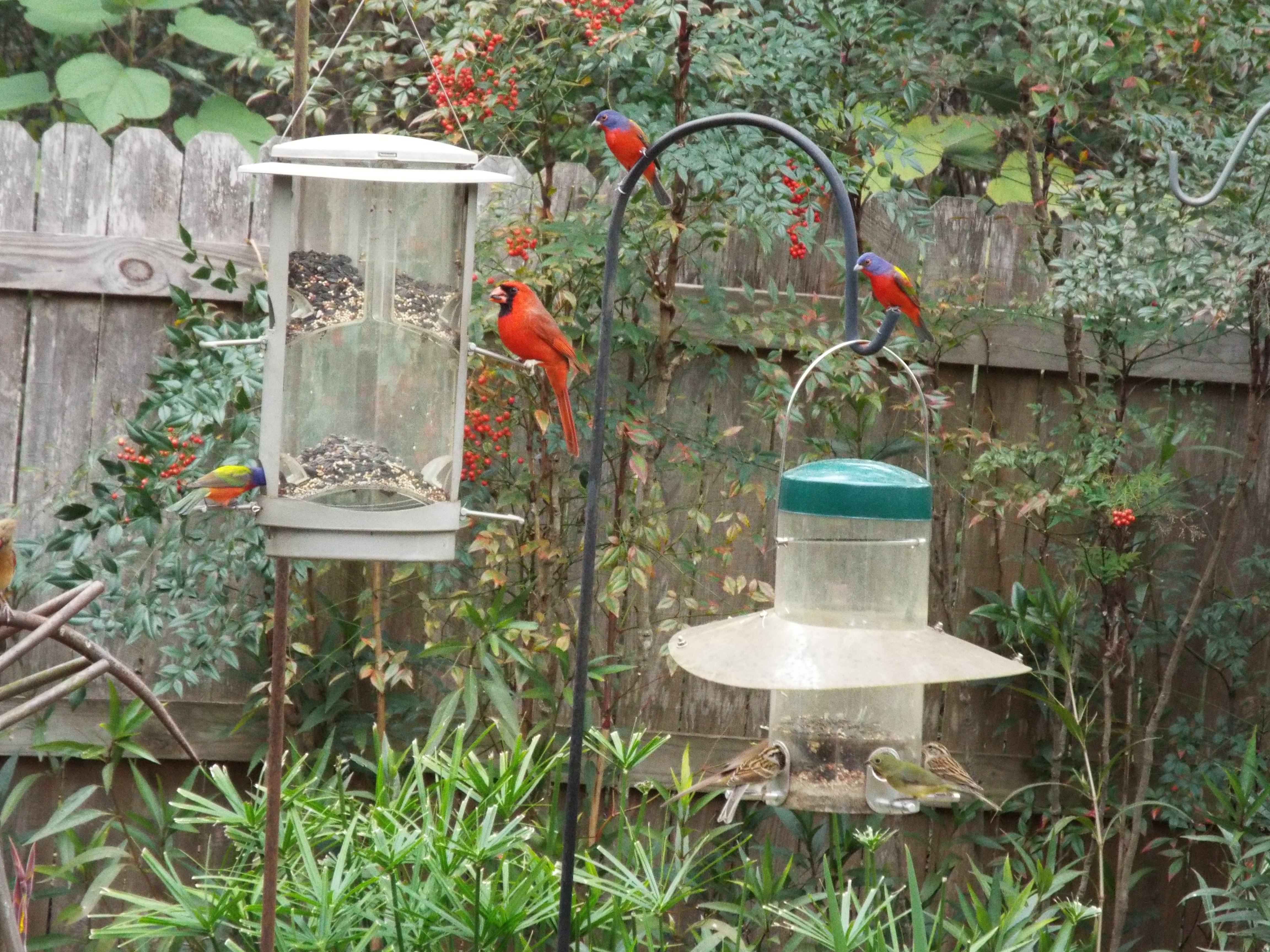 Additional Image 2
