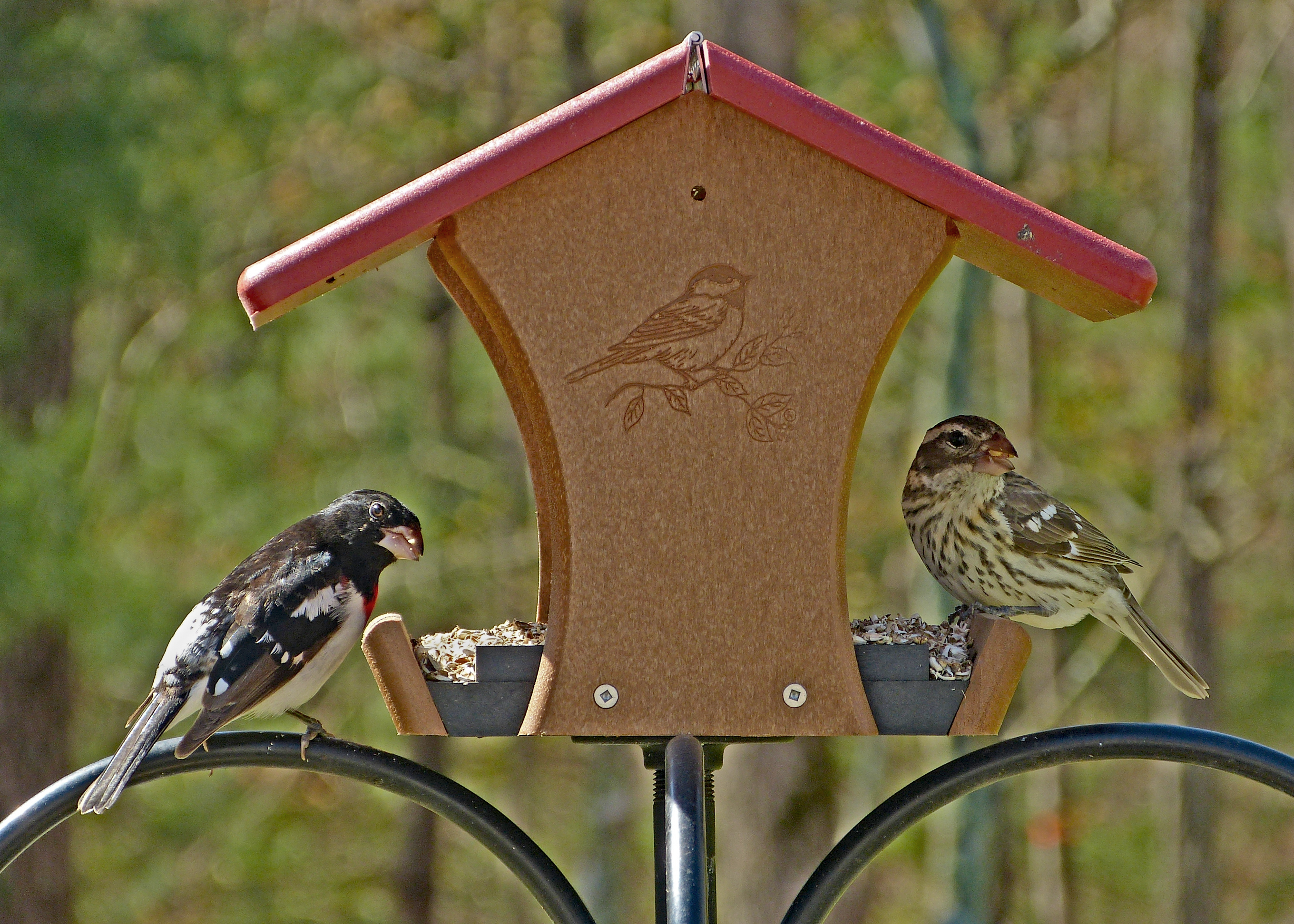 Featured Image