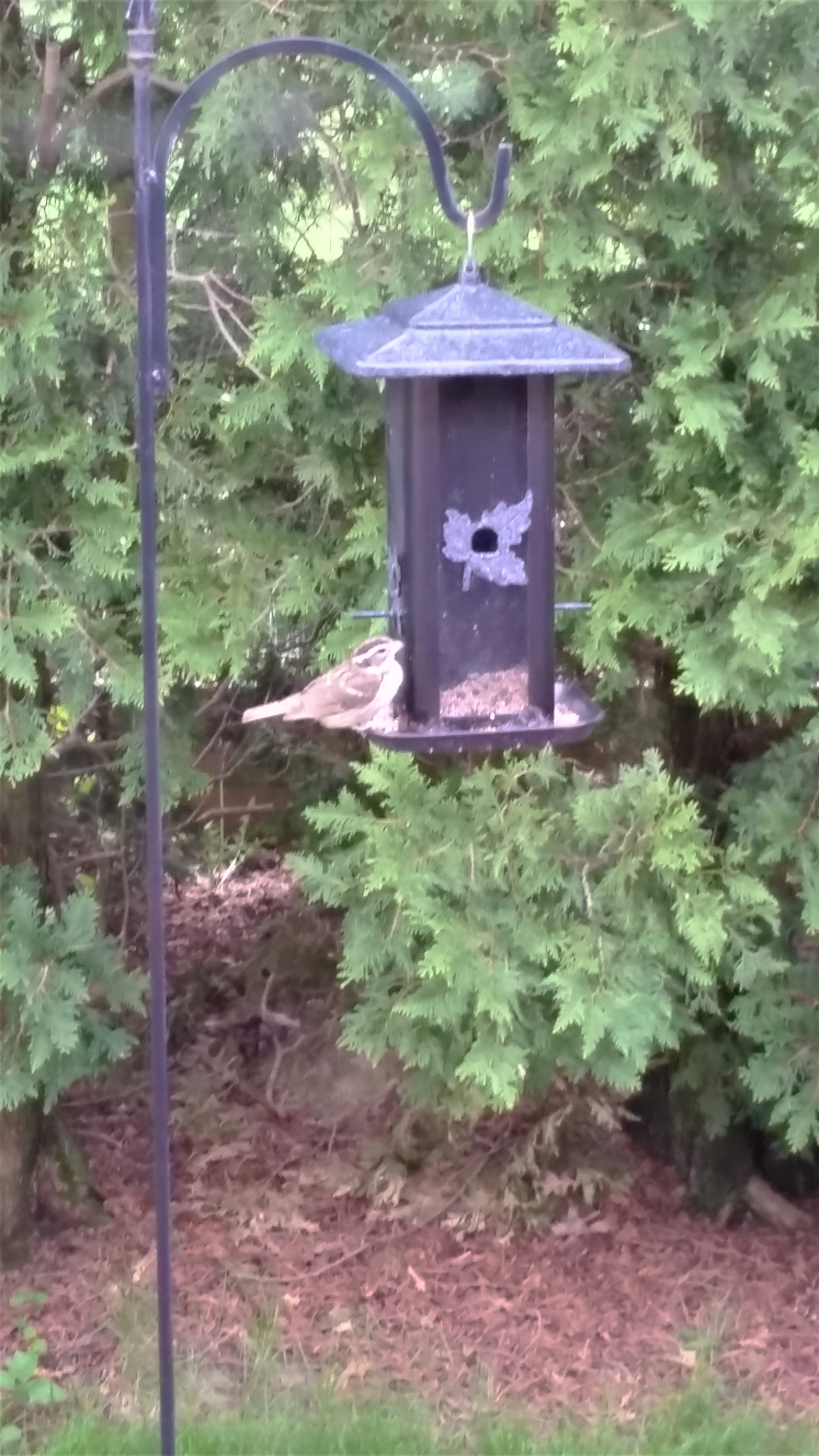 Additional Image 2