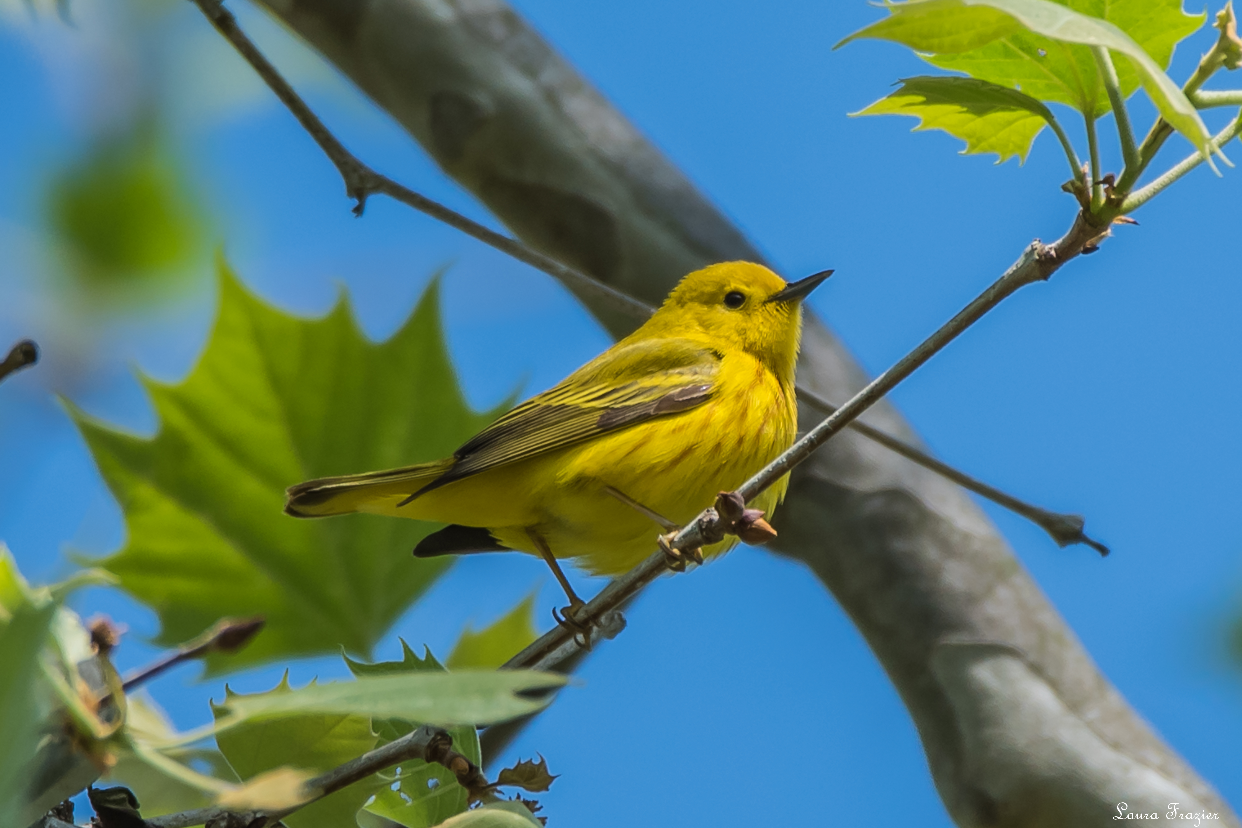 Additional Image 3