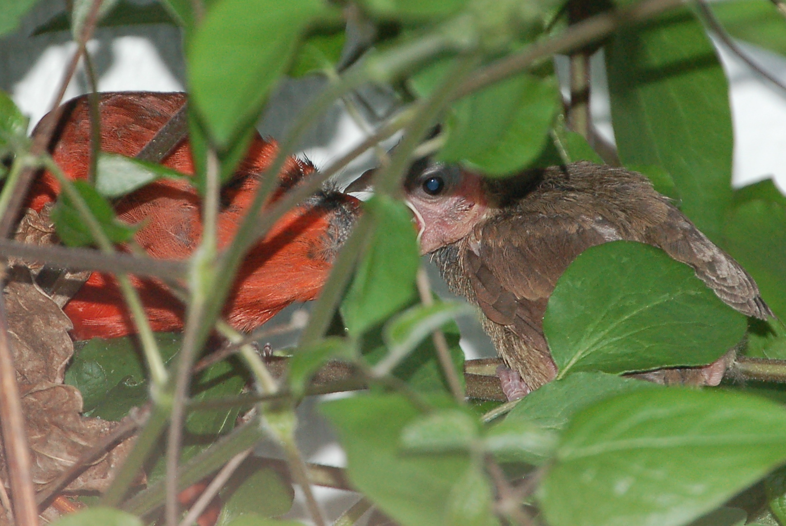Additional Image 3