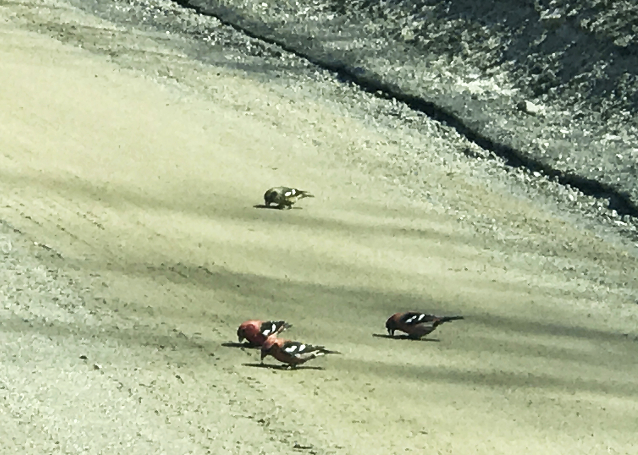 Additional Image 2