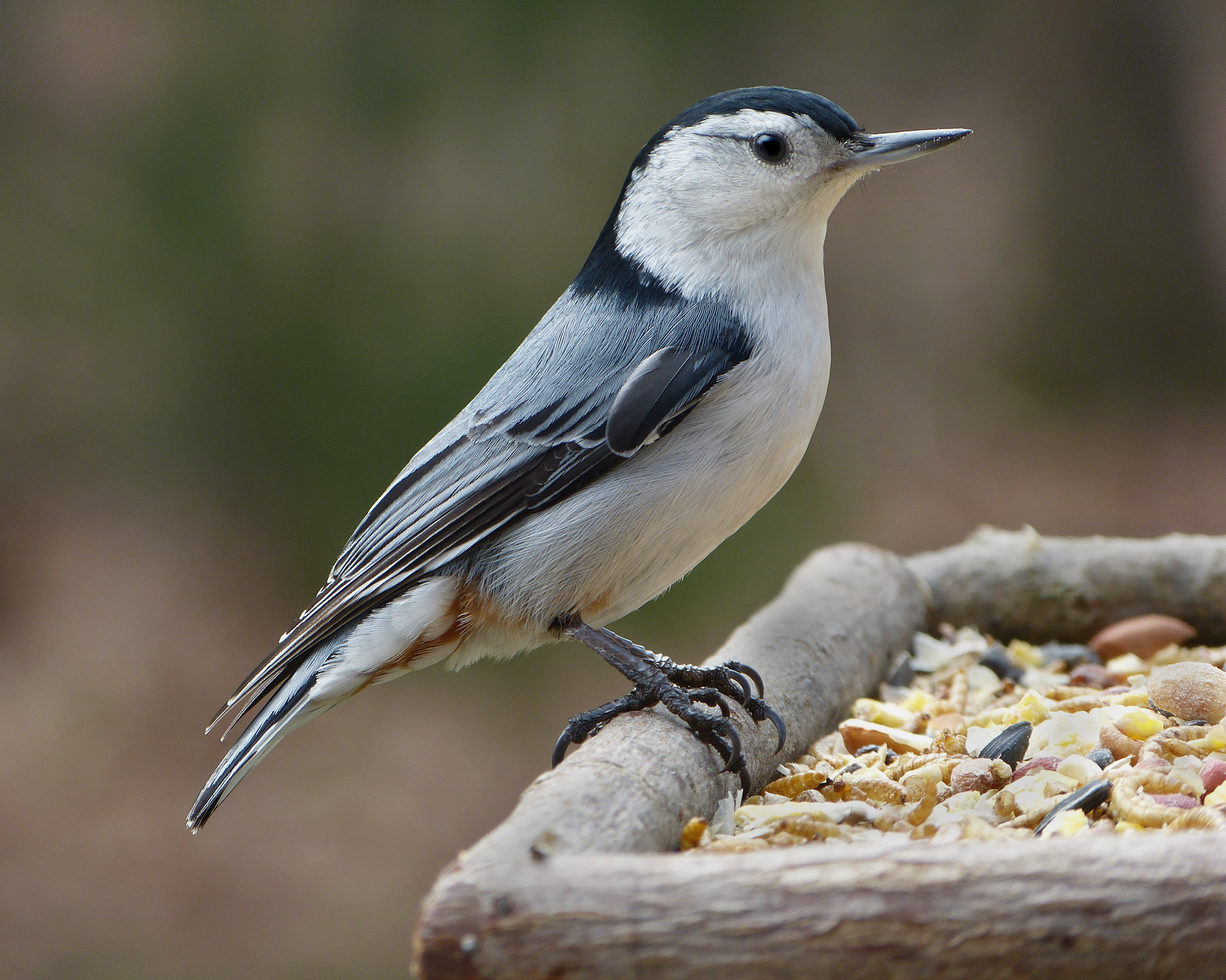 Featured Image