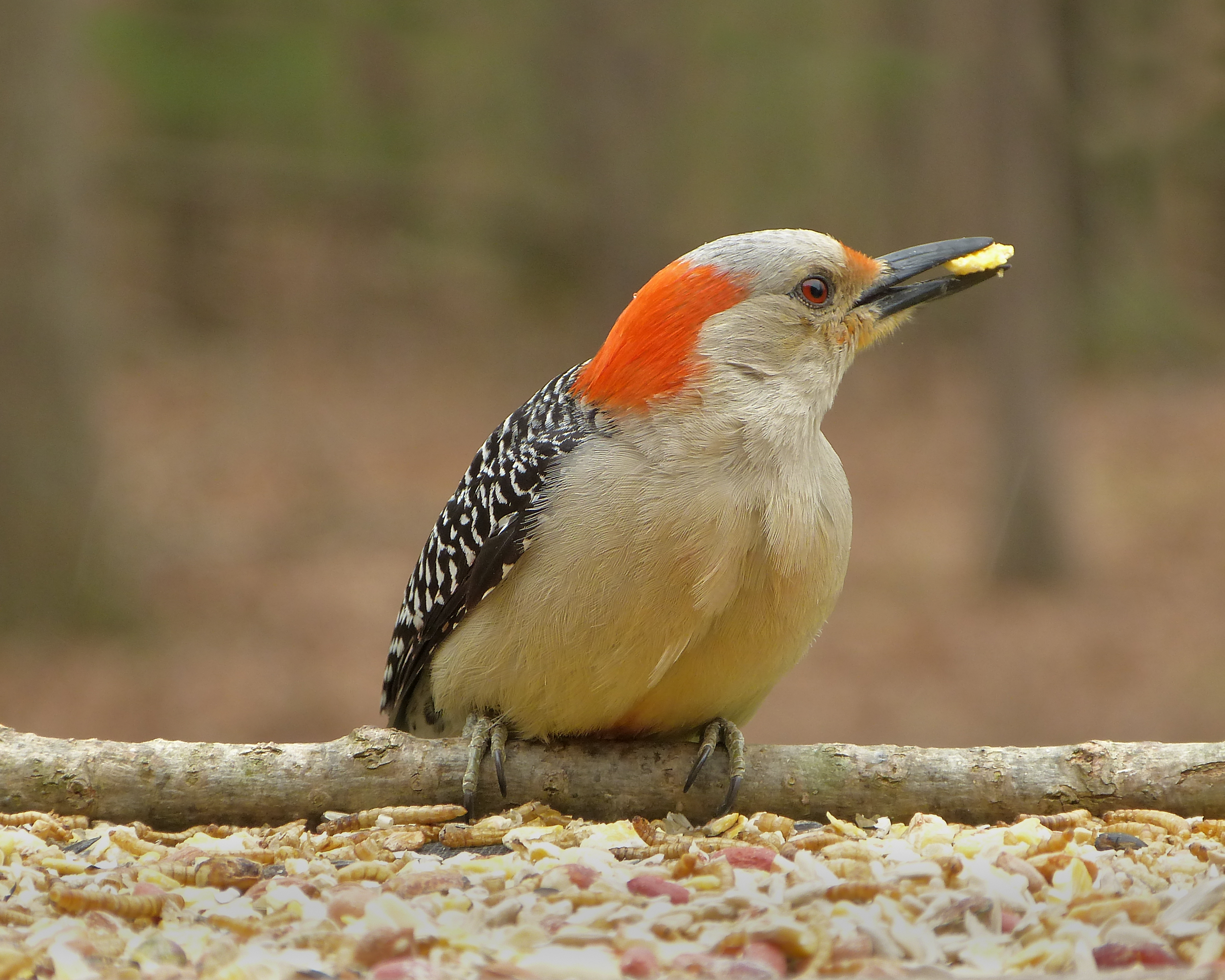 Featured Image
