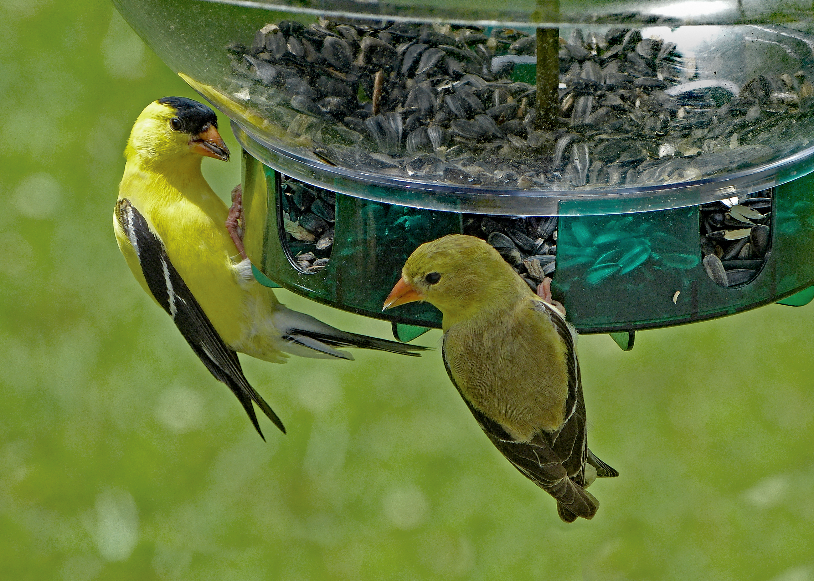 Featured Image