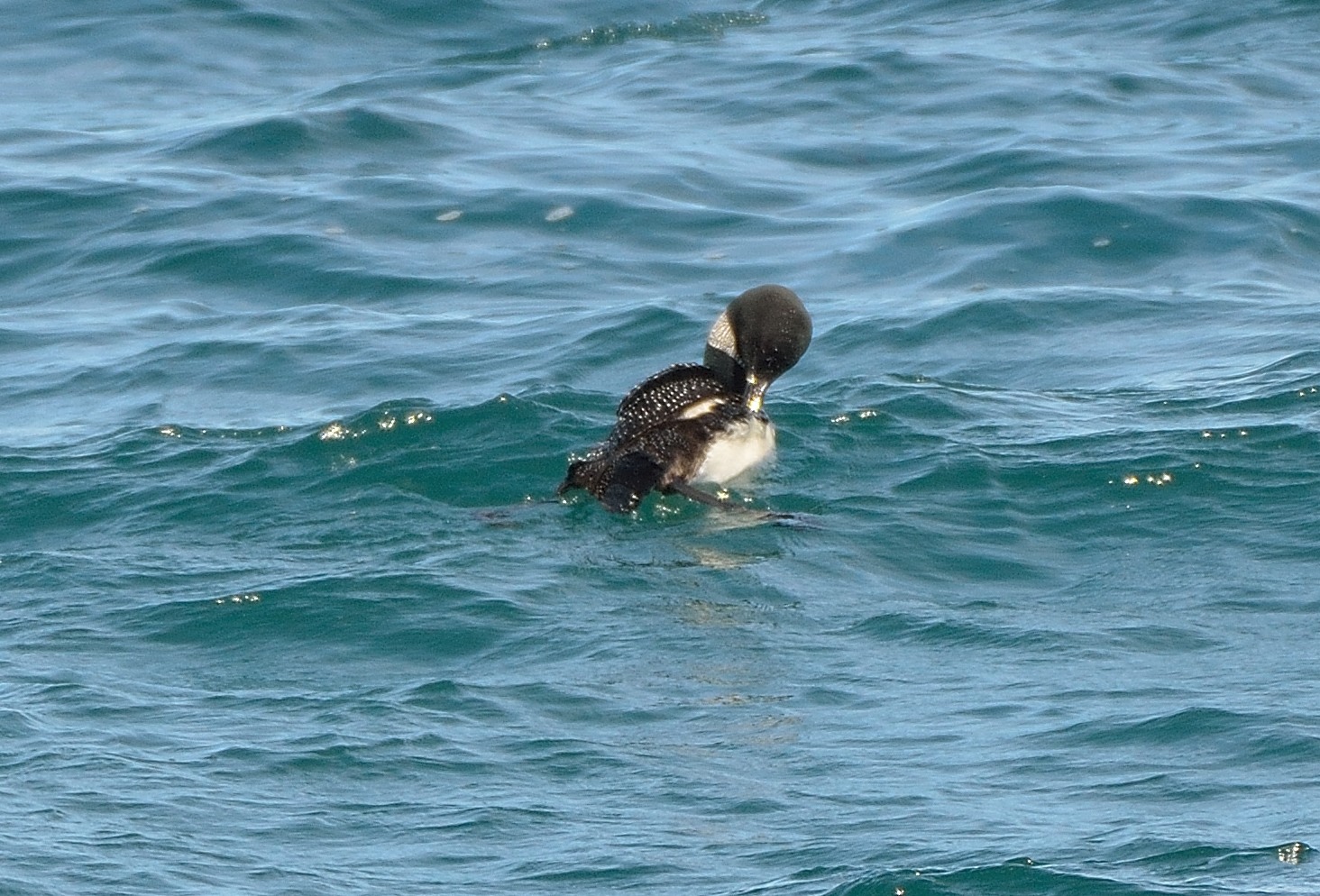 Additional Image 3