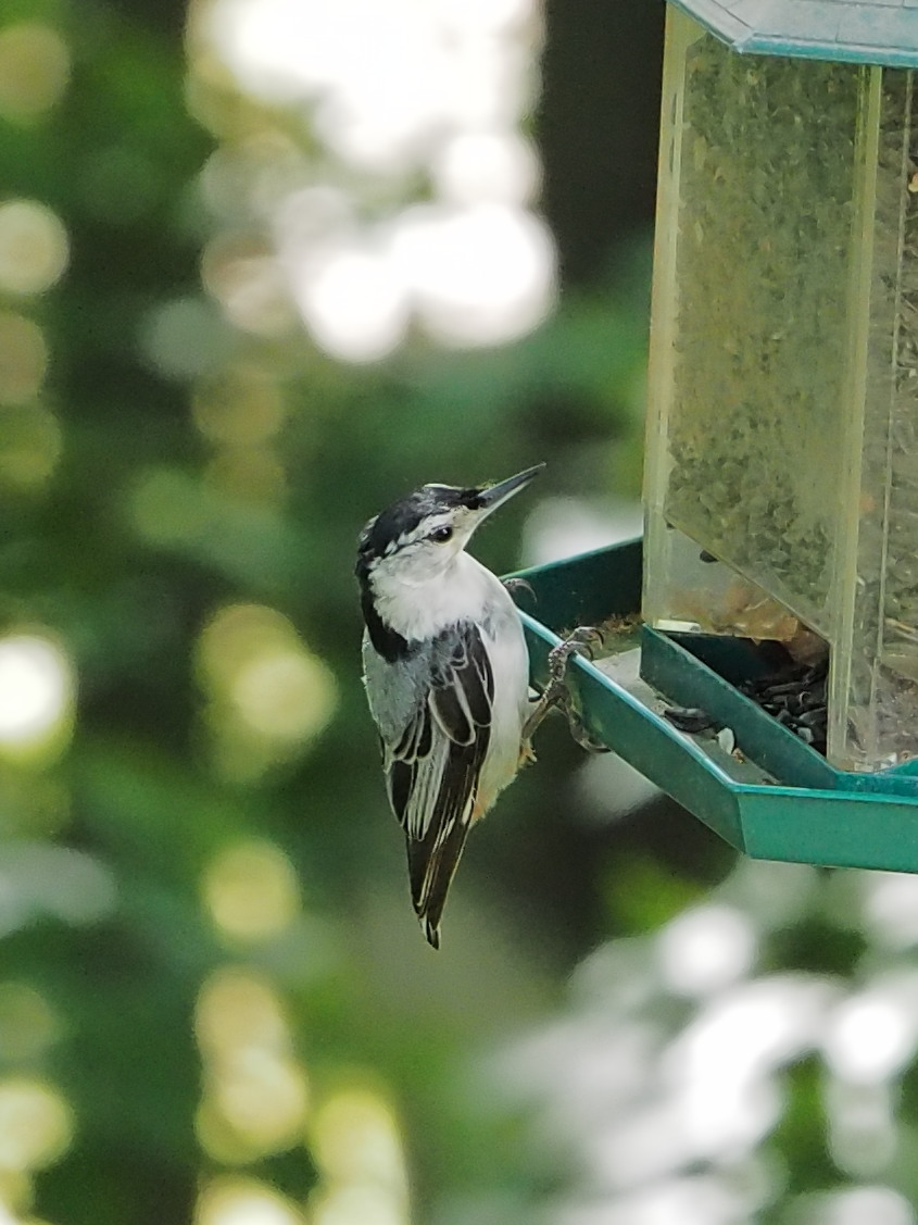 Additional Image 2