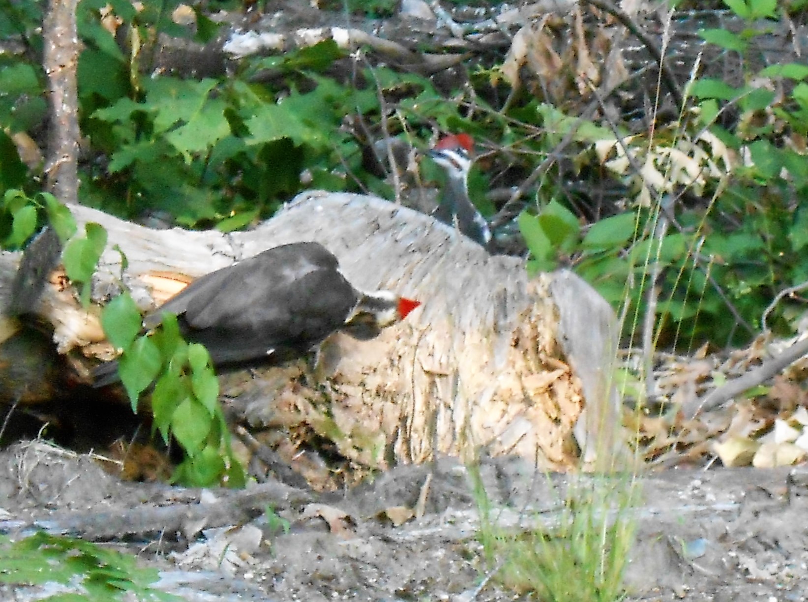 Additional Image 2