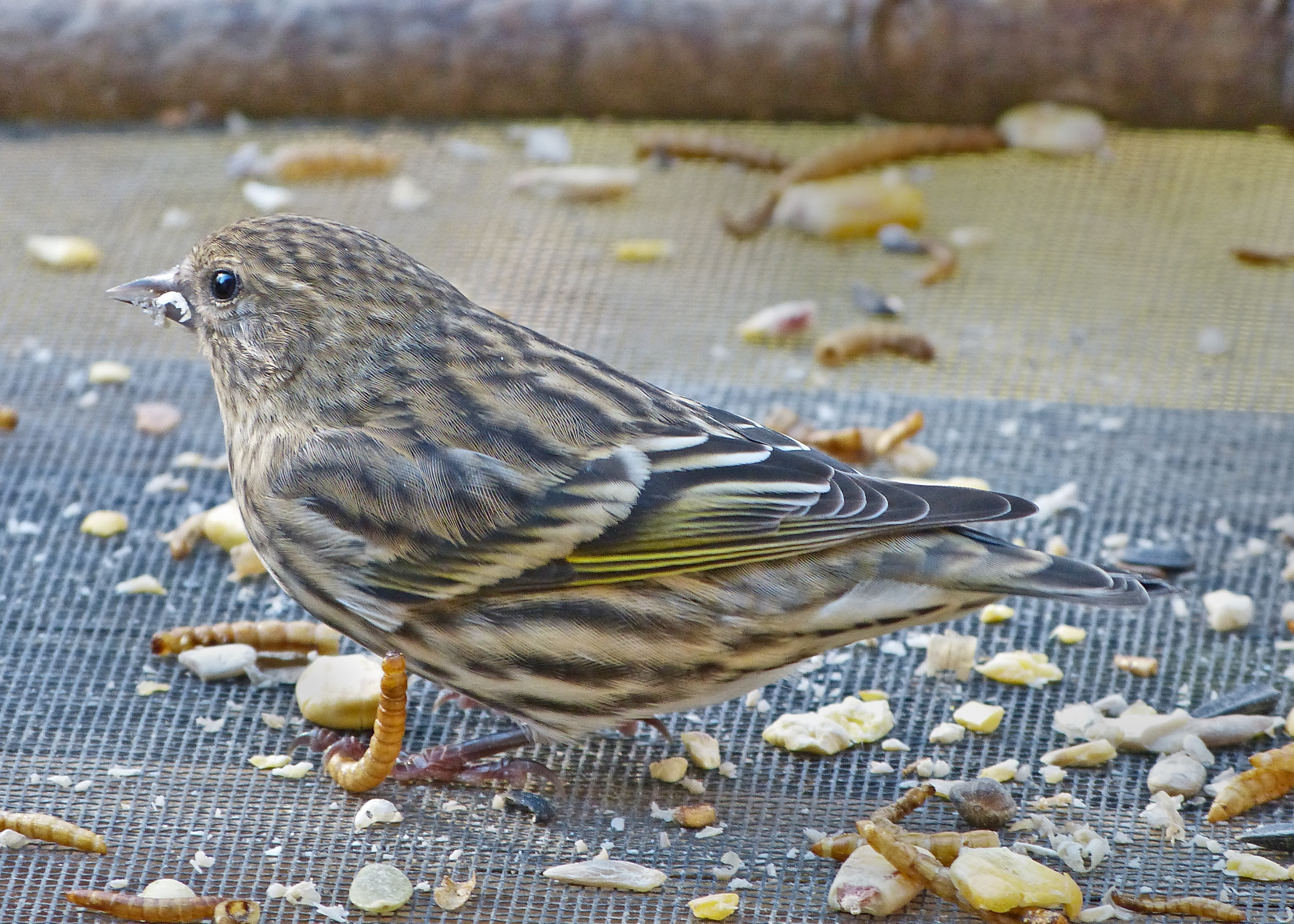 Featured Image