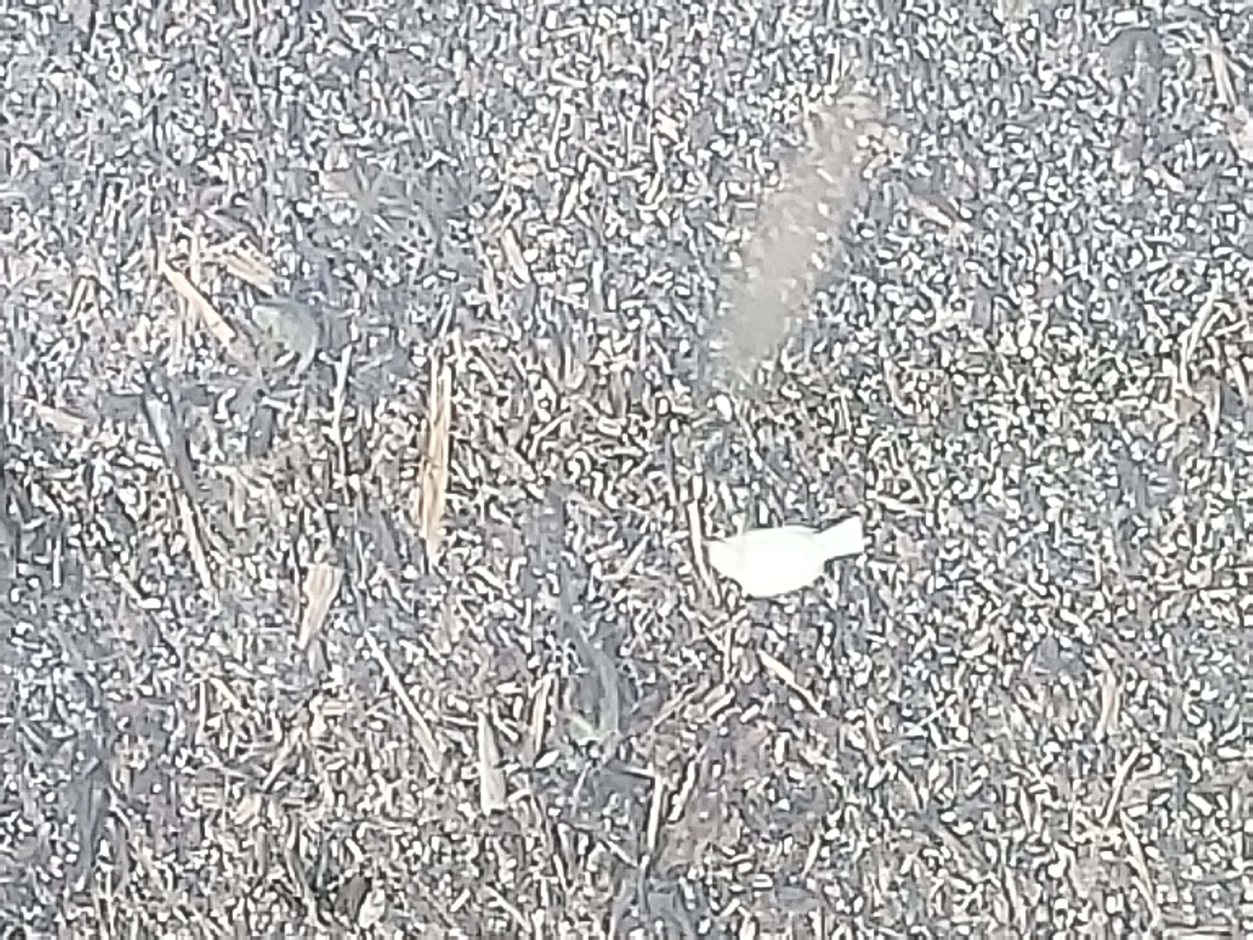 Additional Image 2