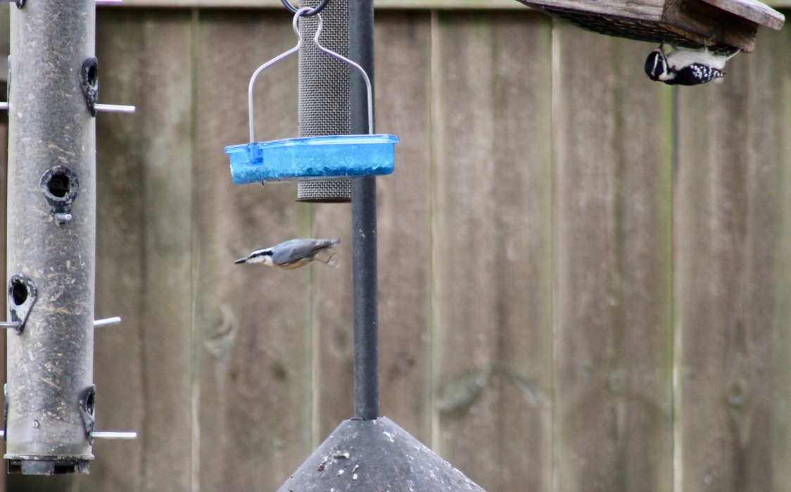 Additional Image 2