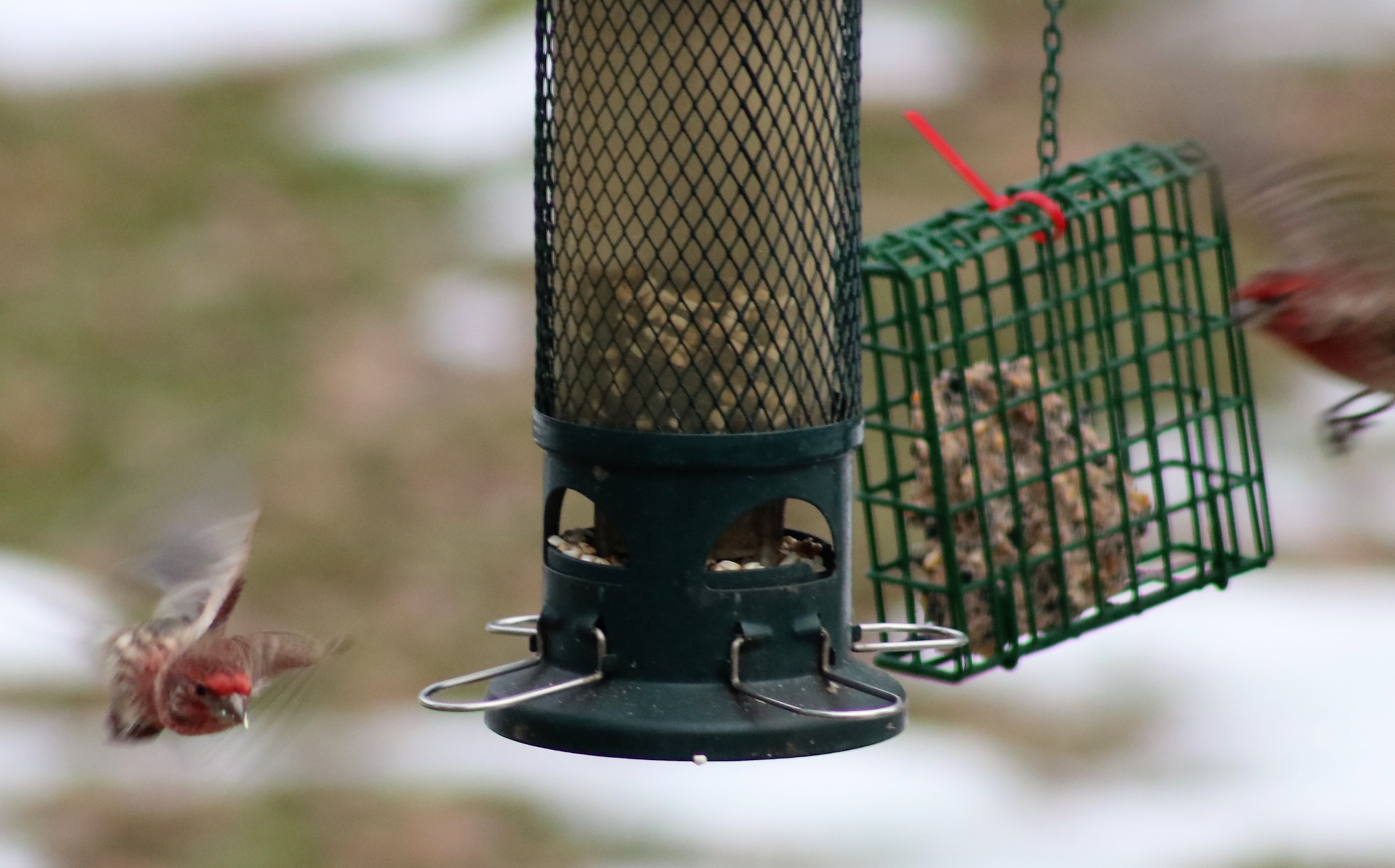 Additional Image 2