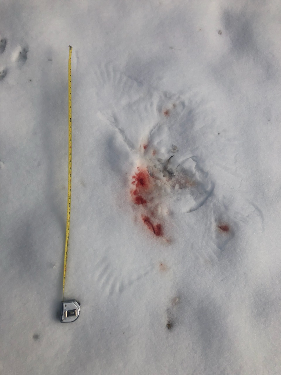 Additional Image 2