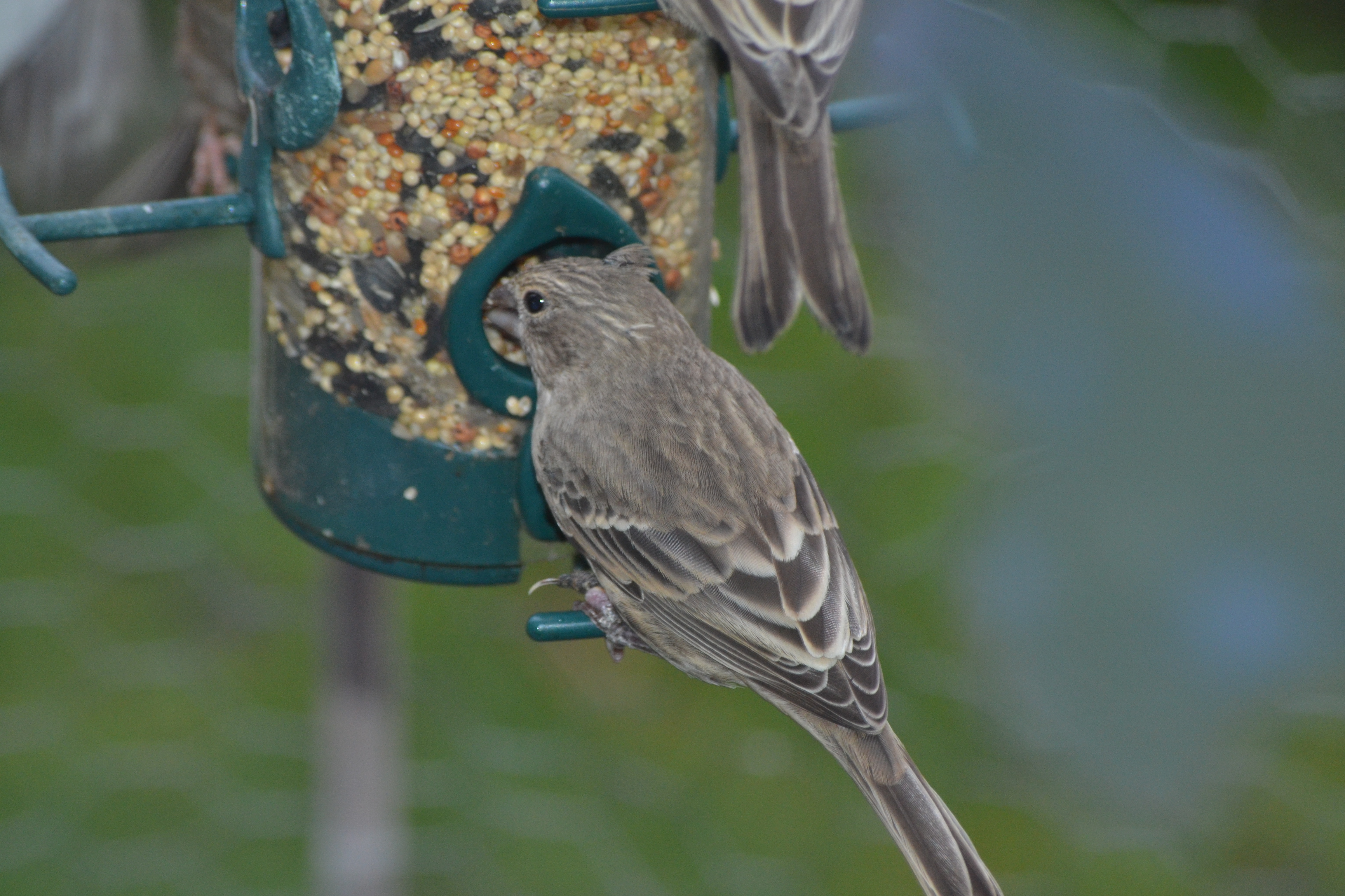 Additional Image 2