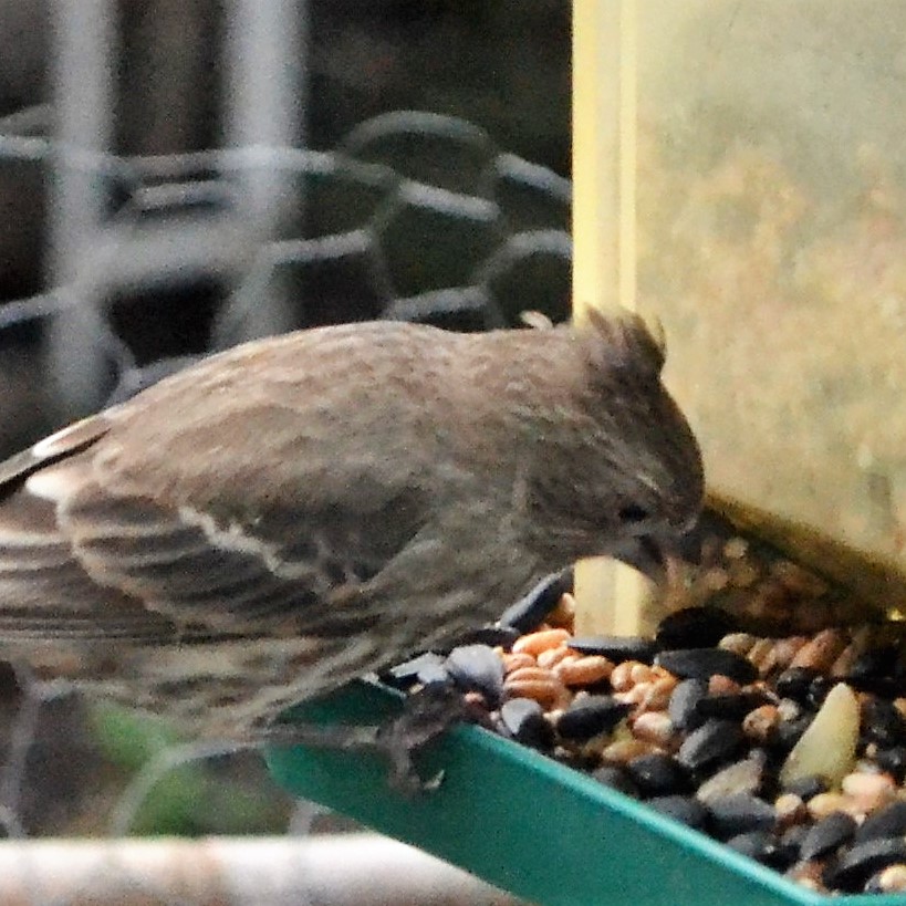 Additional Image 4