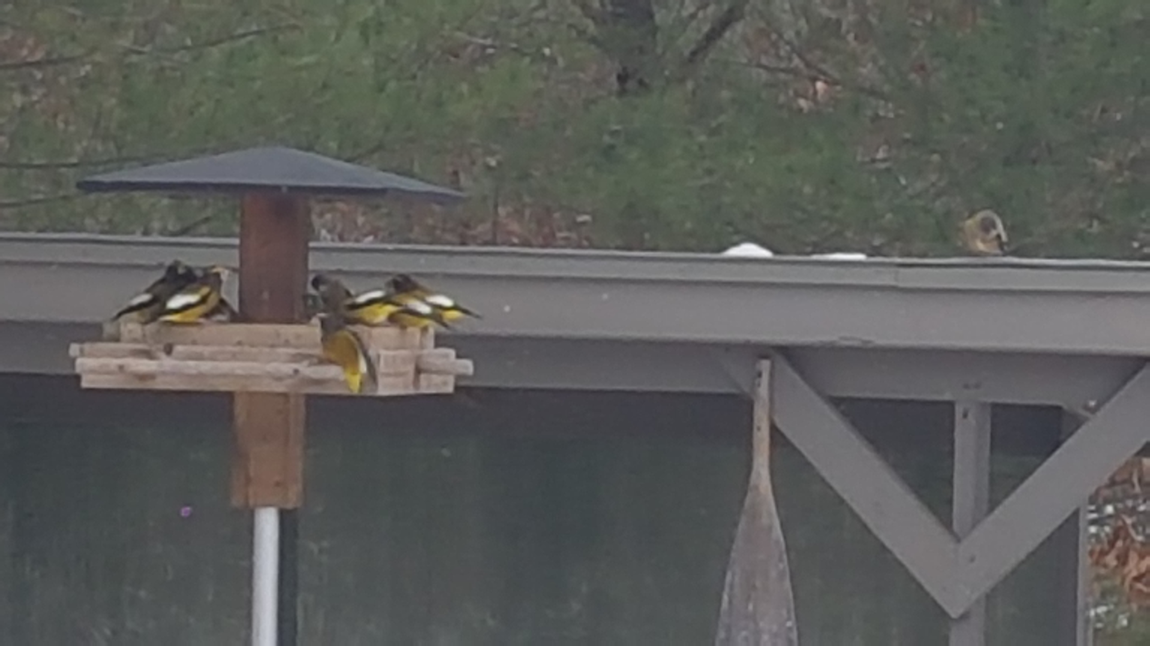 Additional Image 4