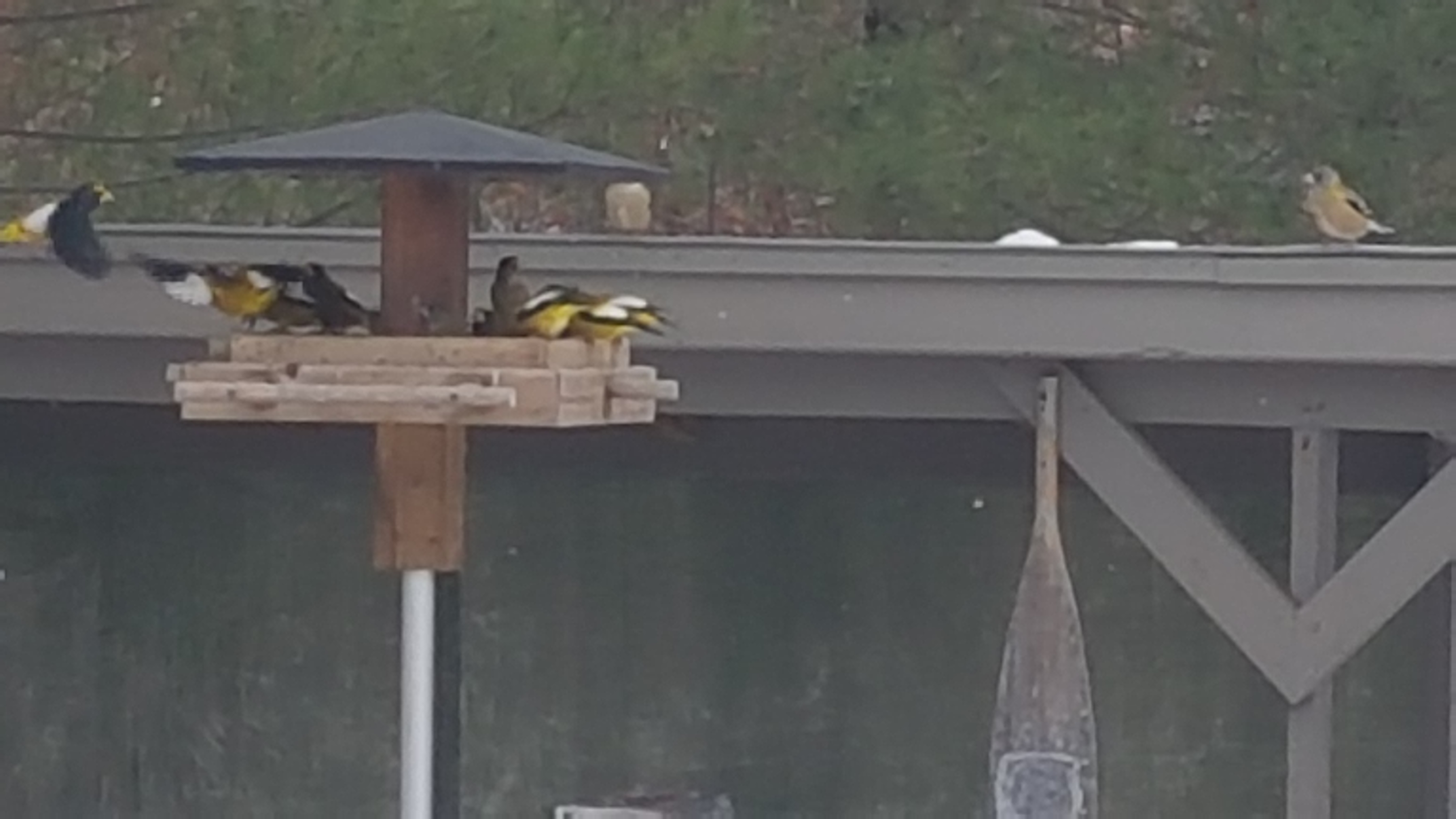 Additional Image 5
