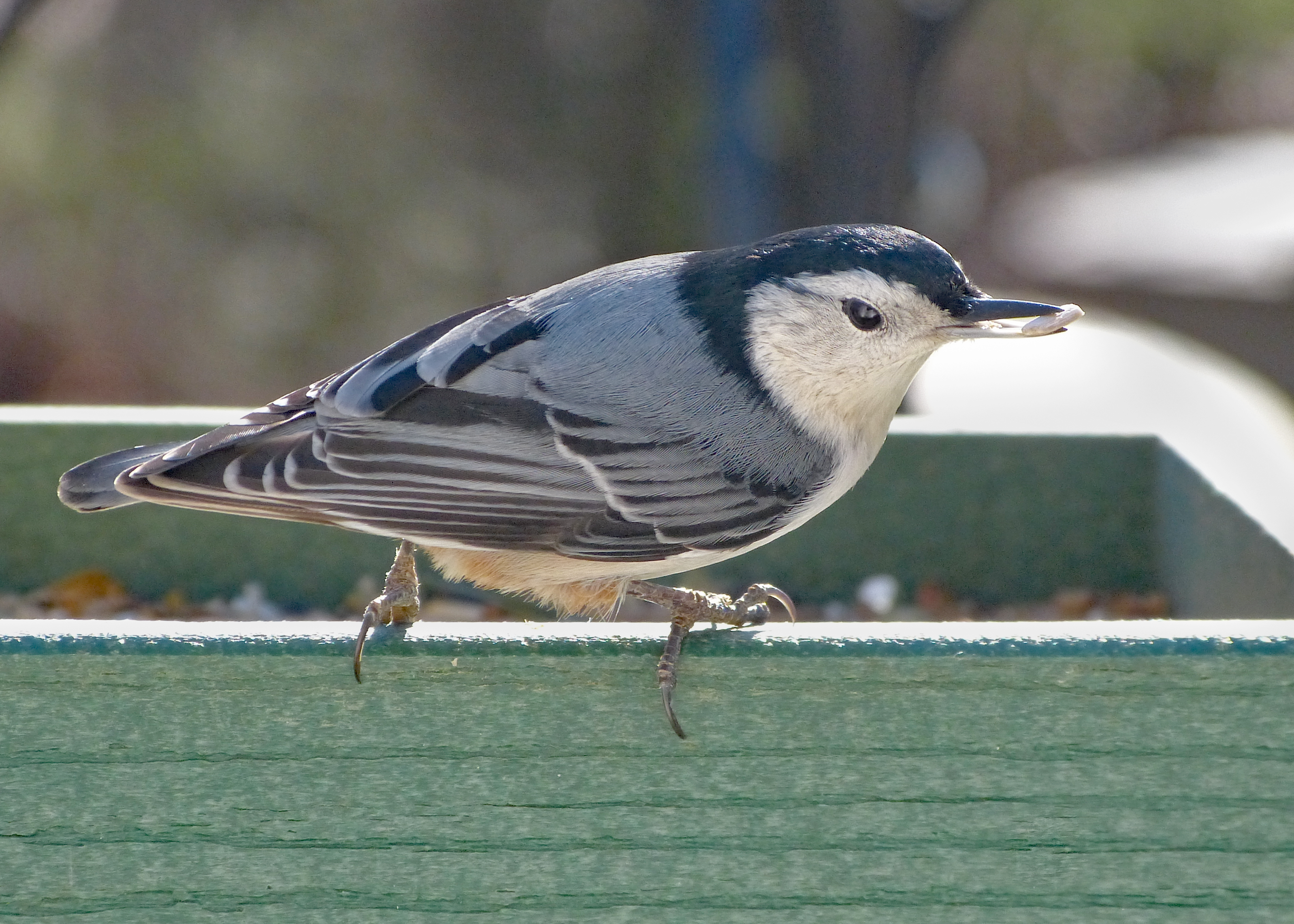 Featured Image