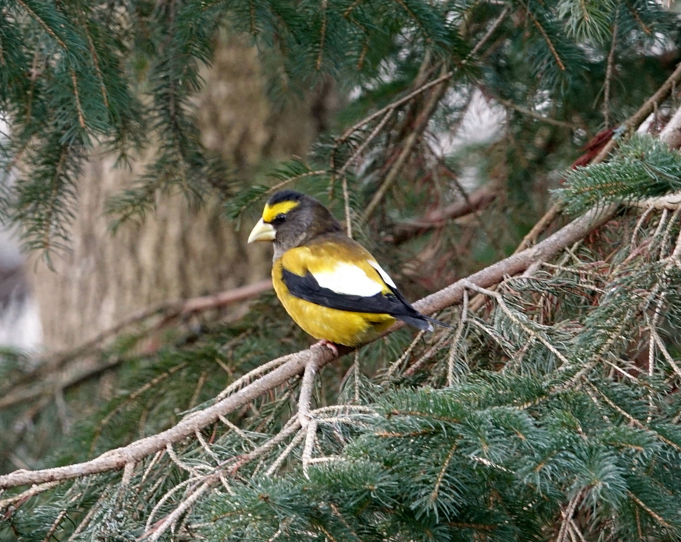 Featured Image