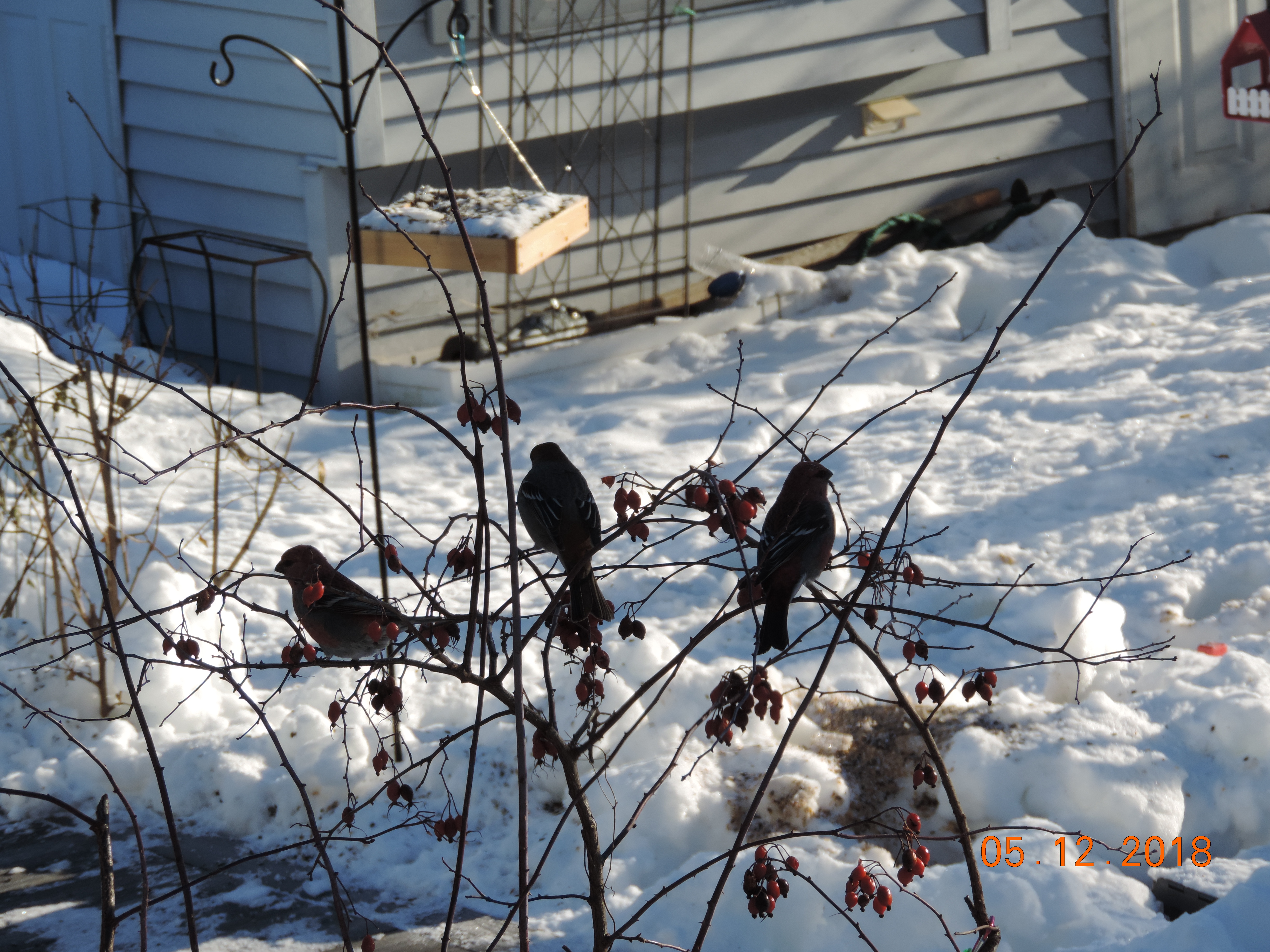 Additional Image 4