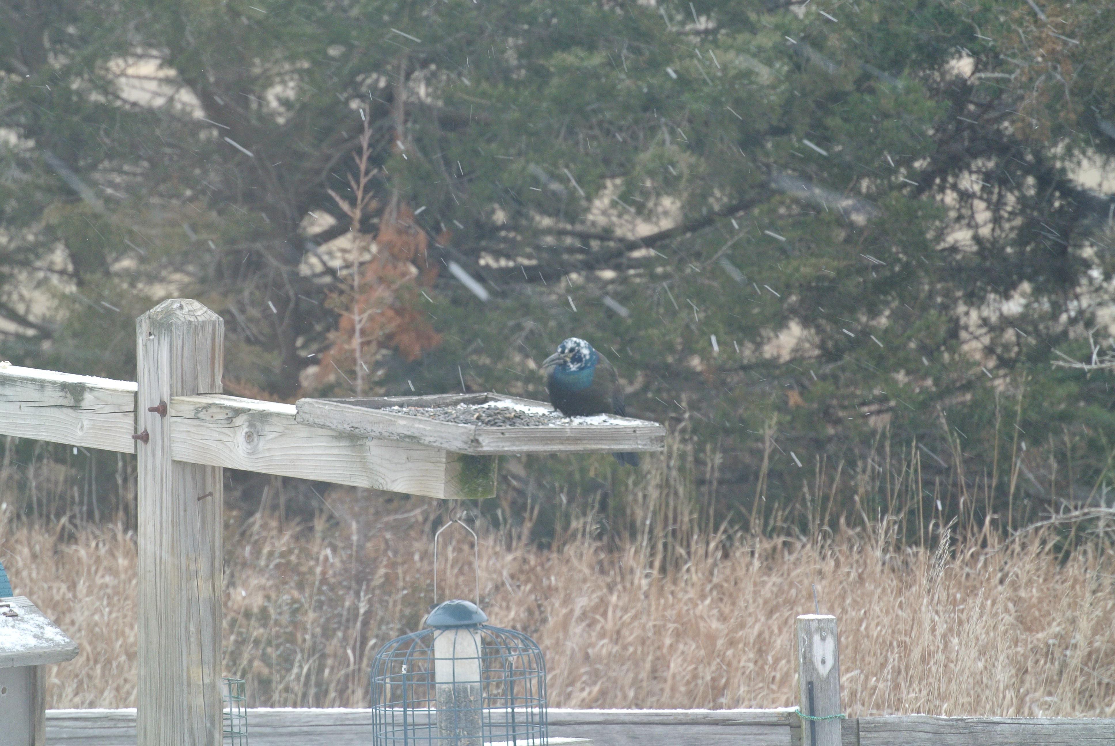Additional Image 2