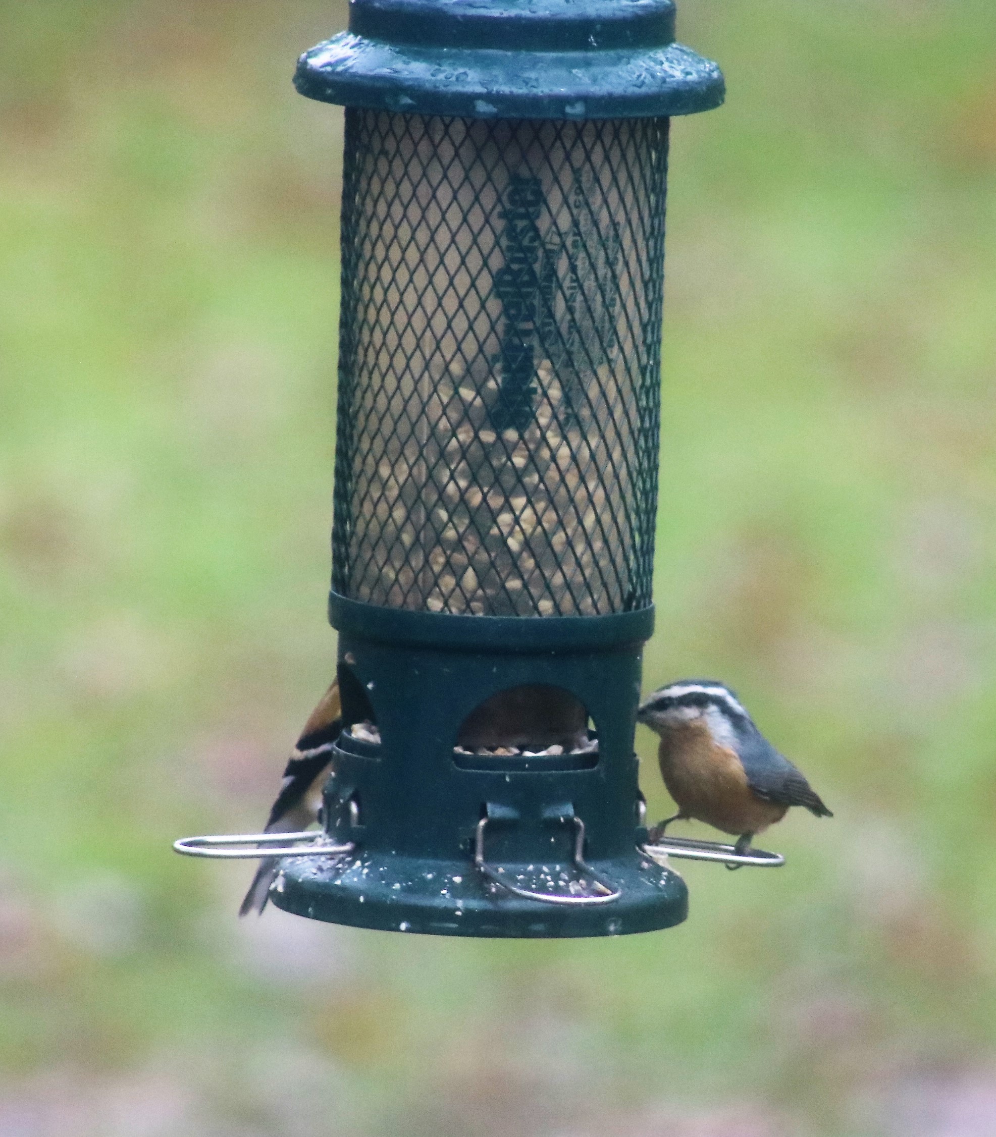 Additional Image 3