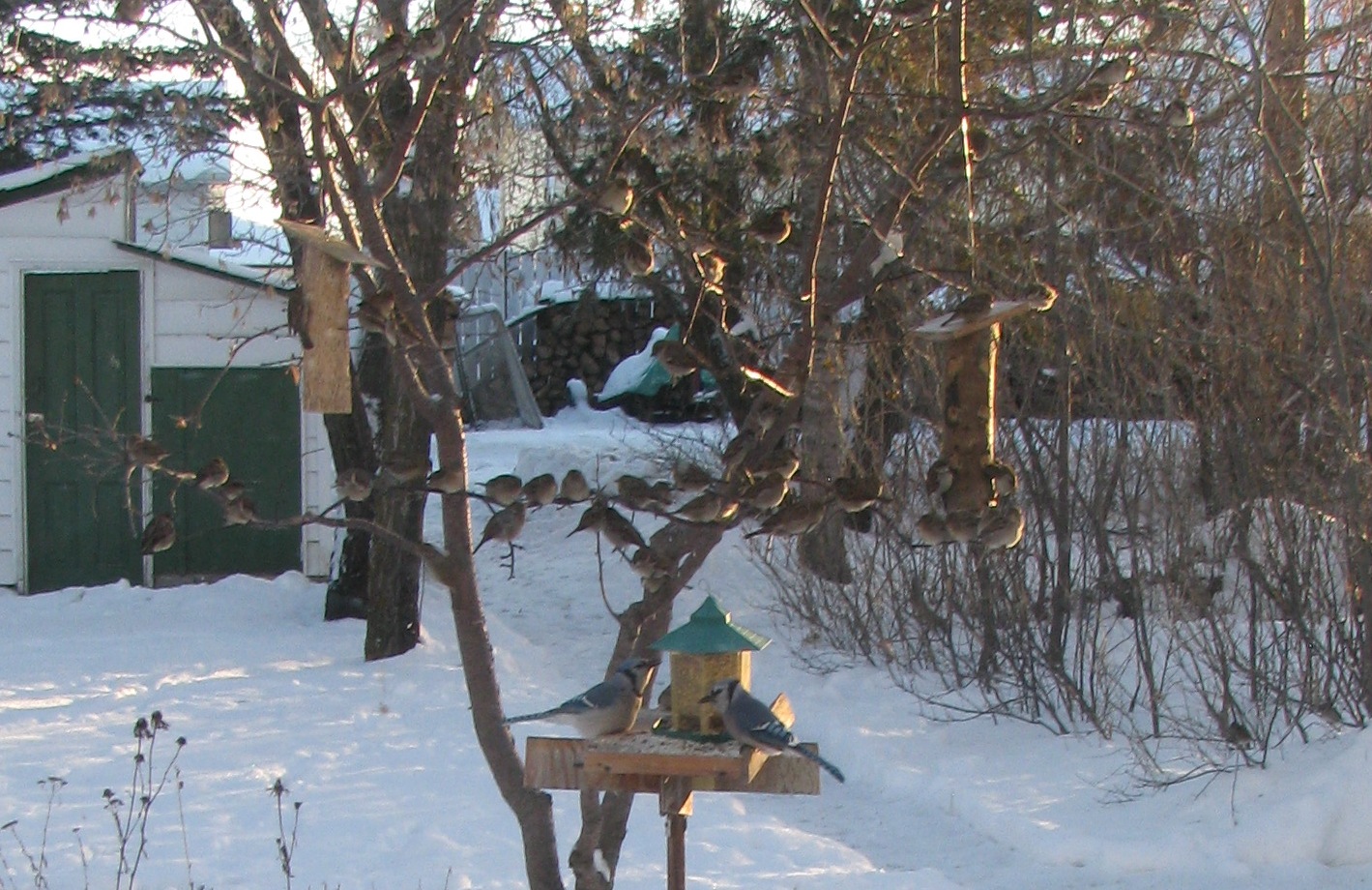 Additional Image 2