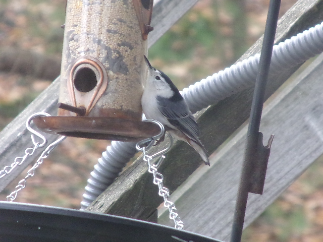 Additional Image 2